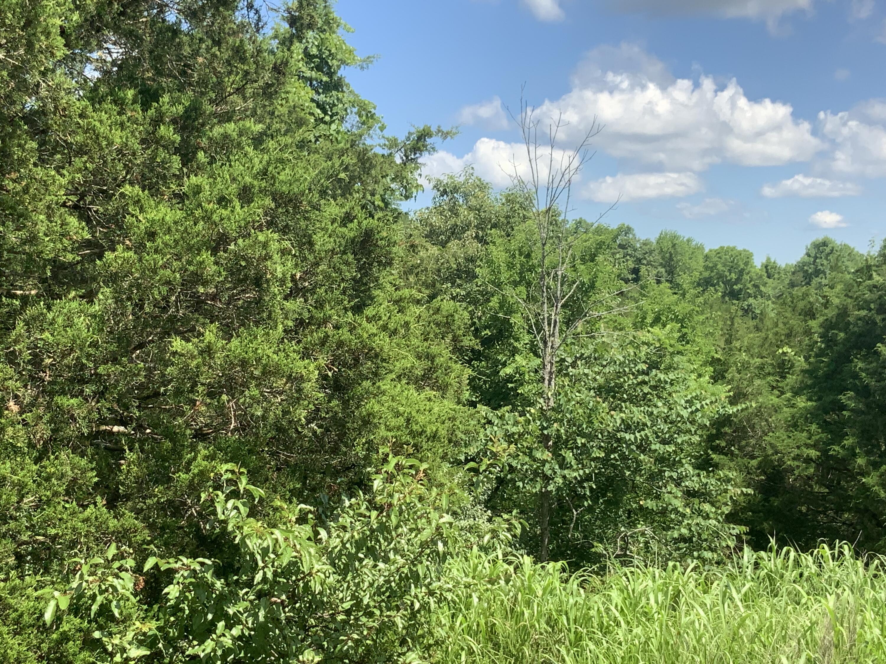 1160 Dennis Road Property Photo 45