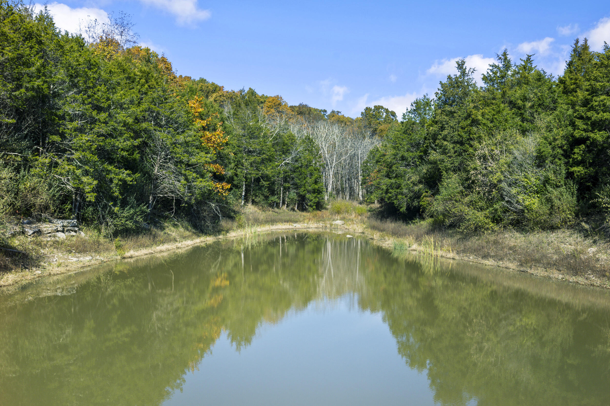 1281 Sharp Road Property Photo 69
