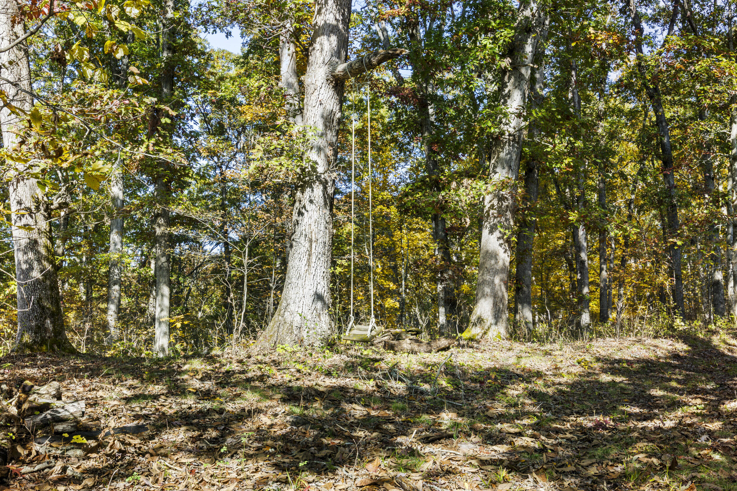 1281 Sharp Road Property Photo 80