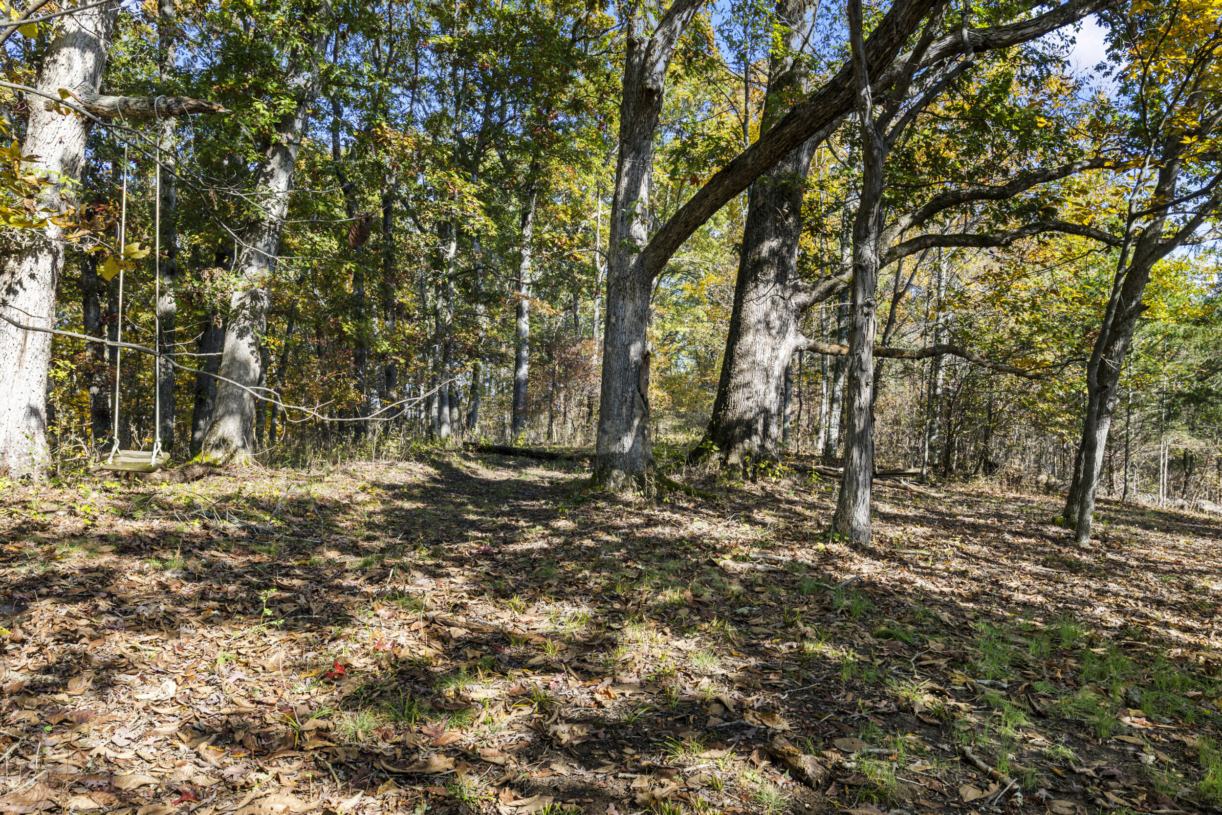 1281 Sharp Road Property Photo 81