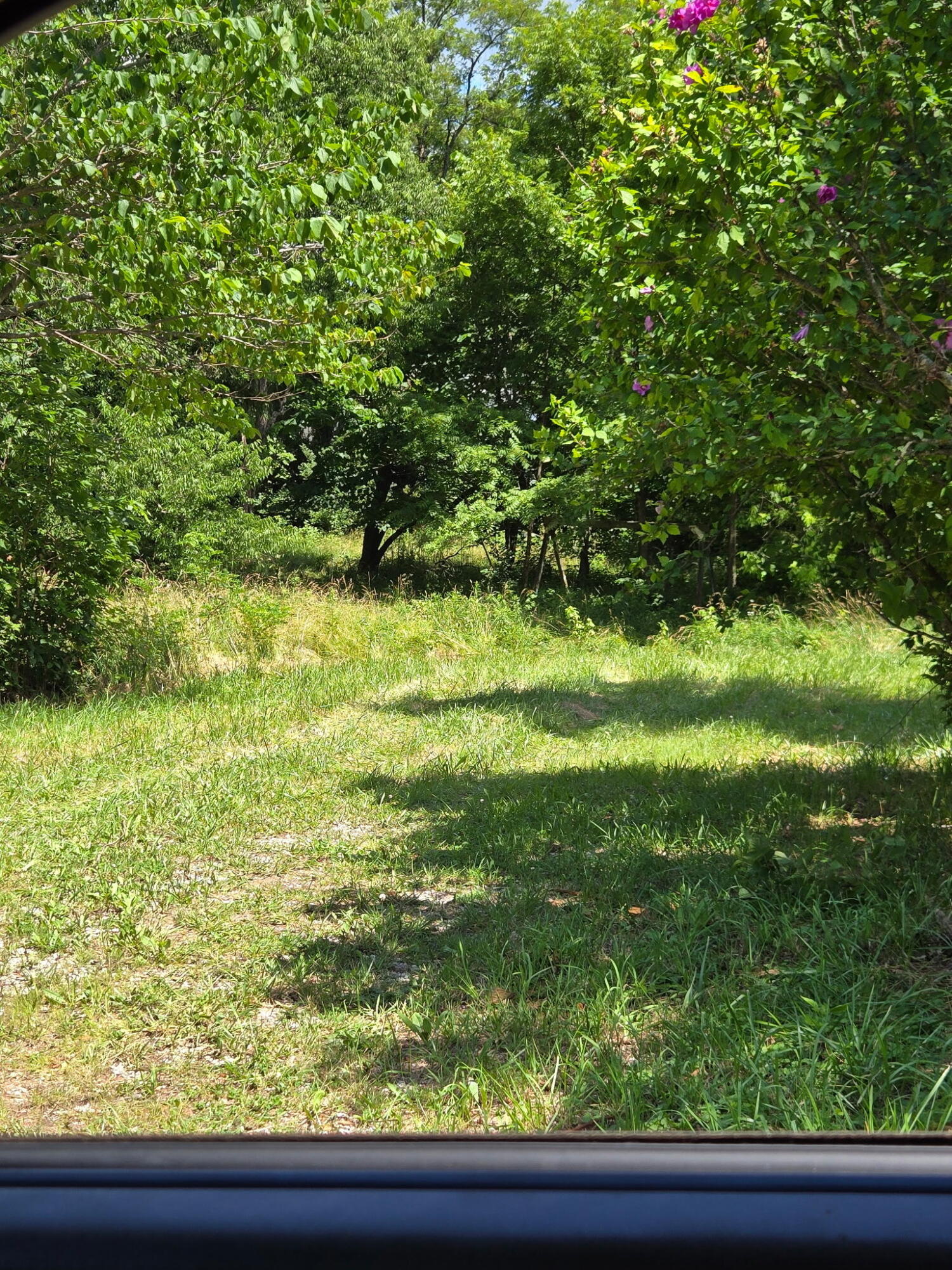25 Leaning Oak Road Property Photo 3