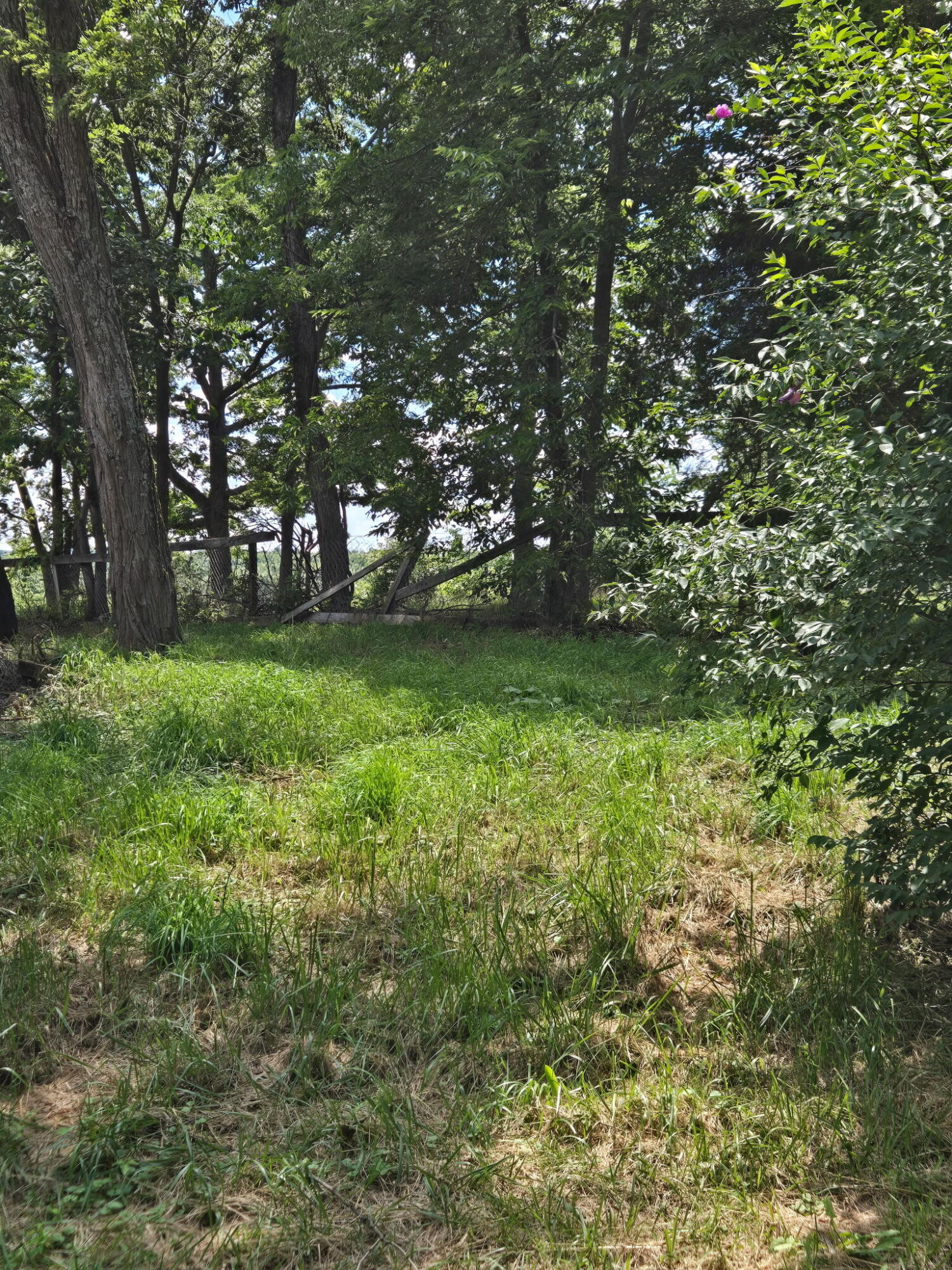 25 Leaning Oak Road Property Photo 9