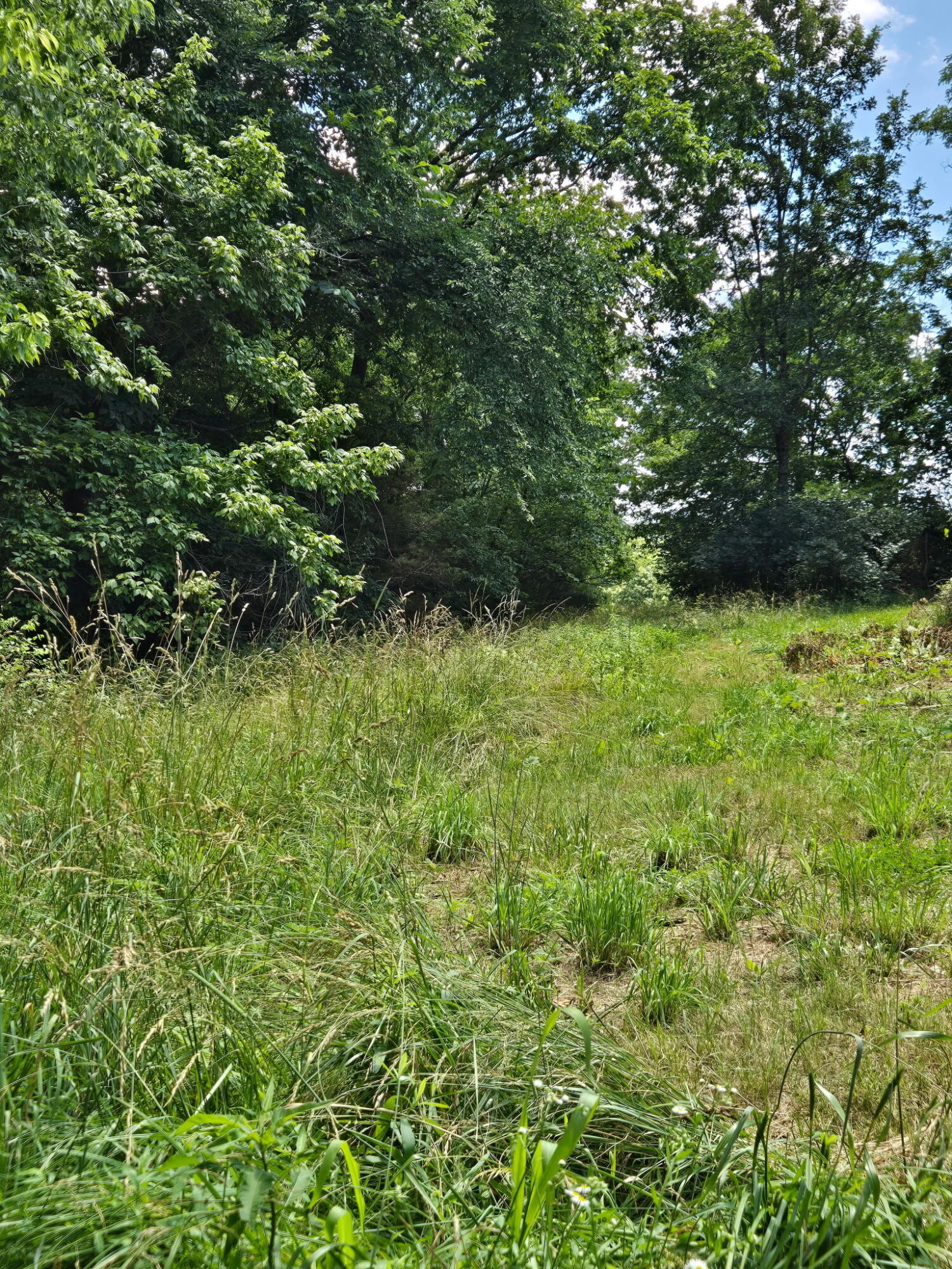 25 Leaning Oak Road Property Photo 10