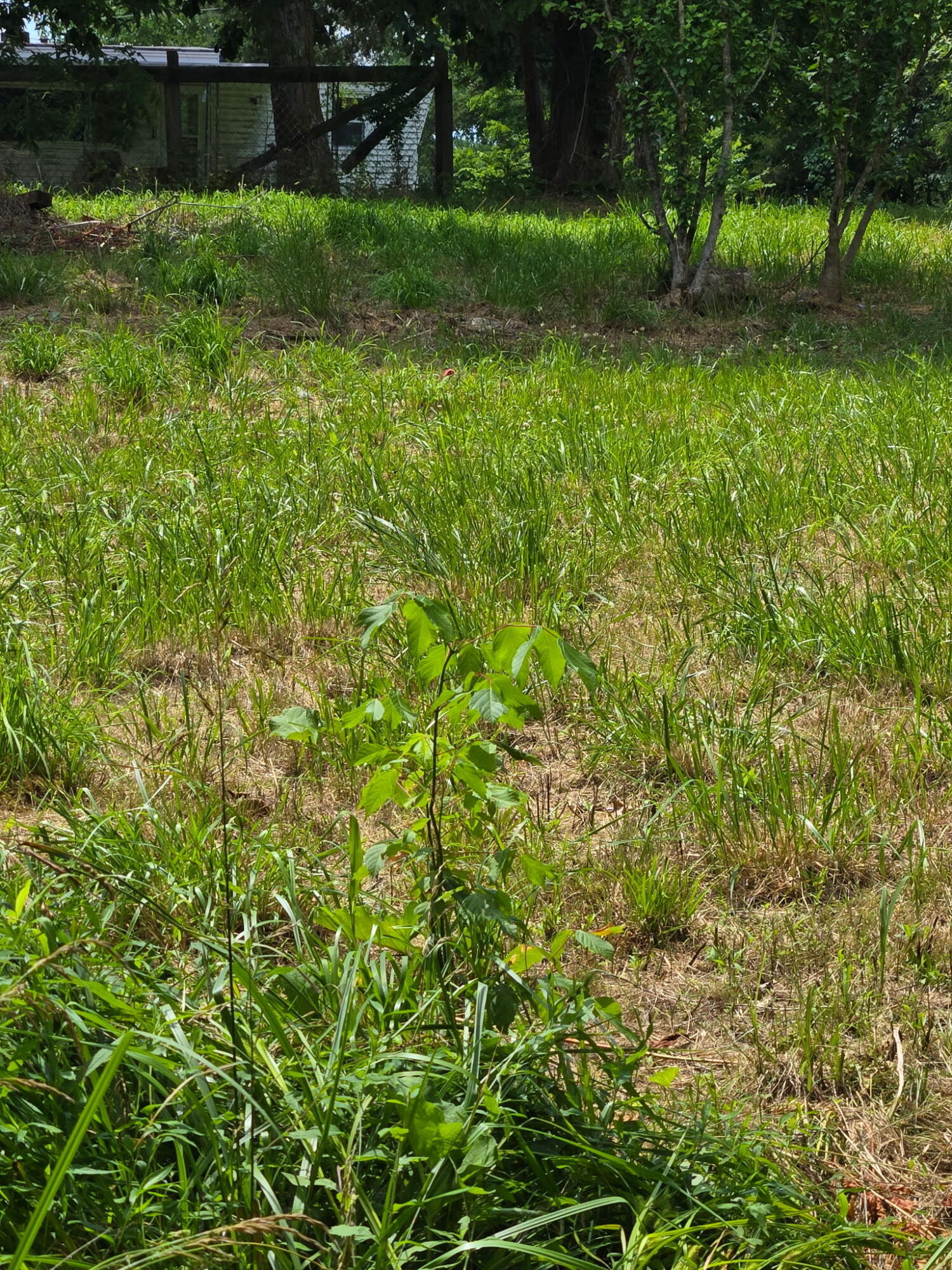 25 Leaning Oak Road Property Photo 13
