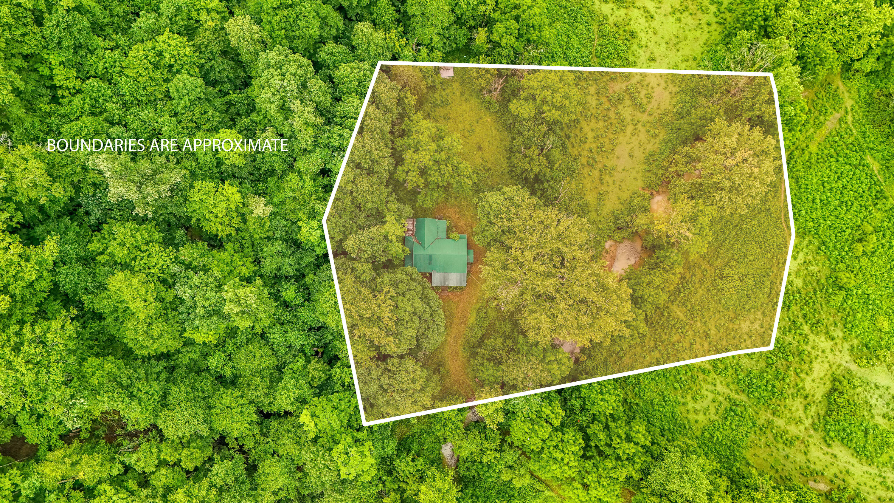 684 Lower Twin Road Property Photo 17