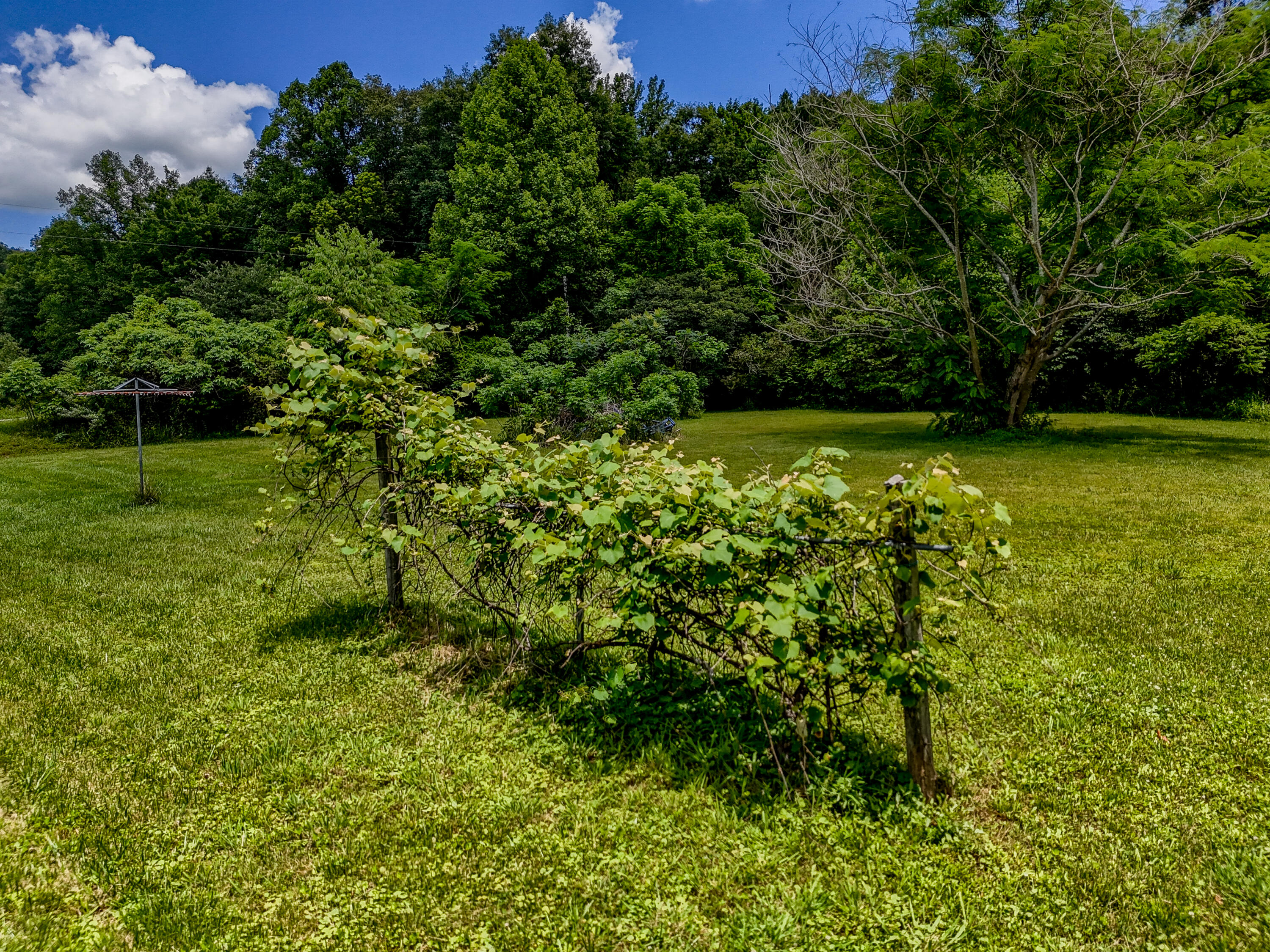 460 Rockfork Road Property Photo 35