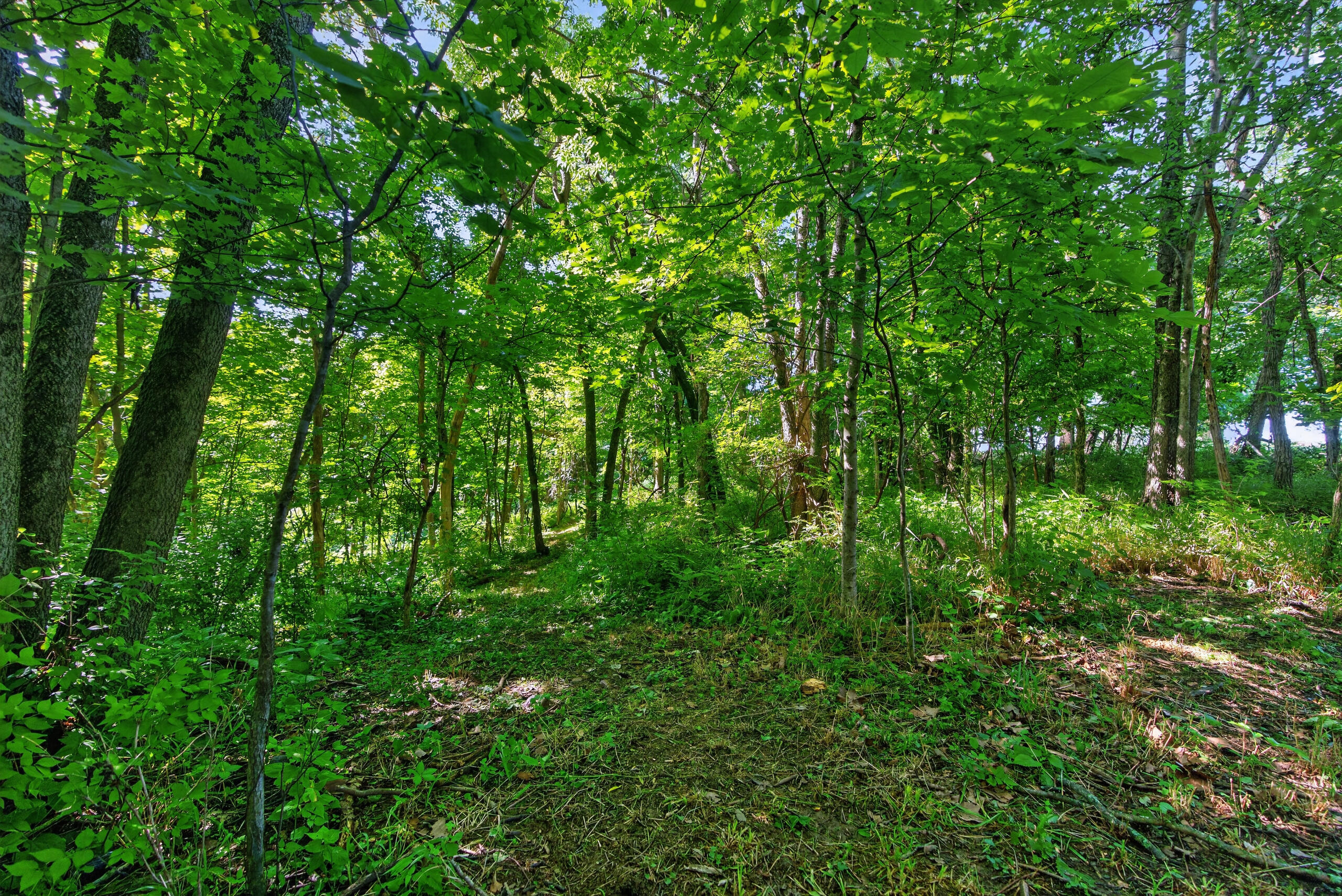 201 Hilltop Road Property Photo 17