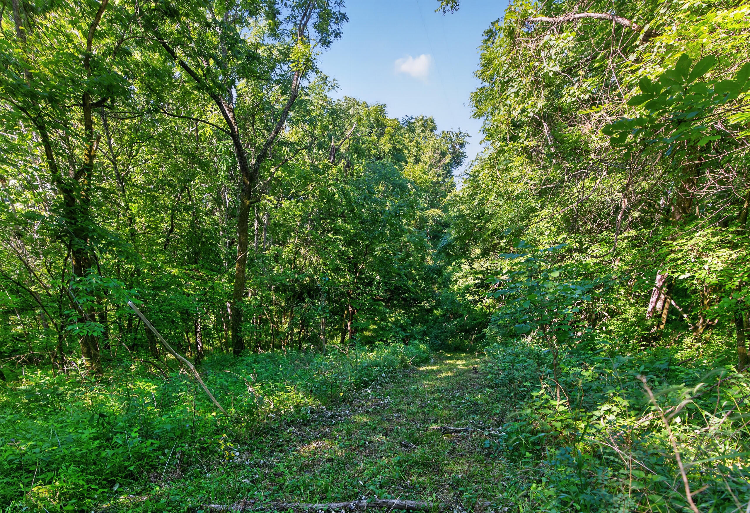 201 Hilltop Road Property Photo 18