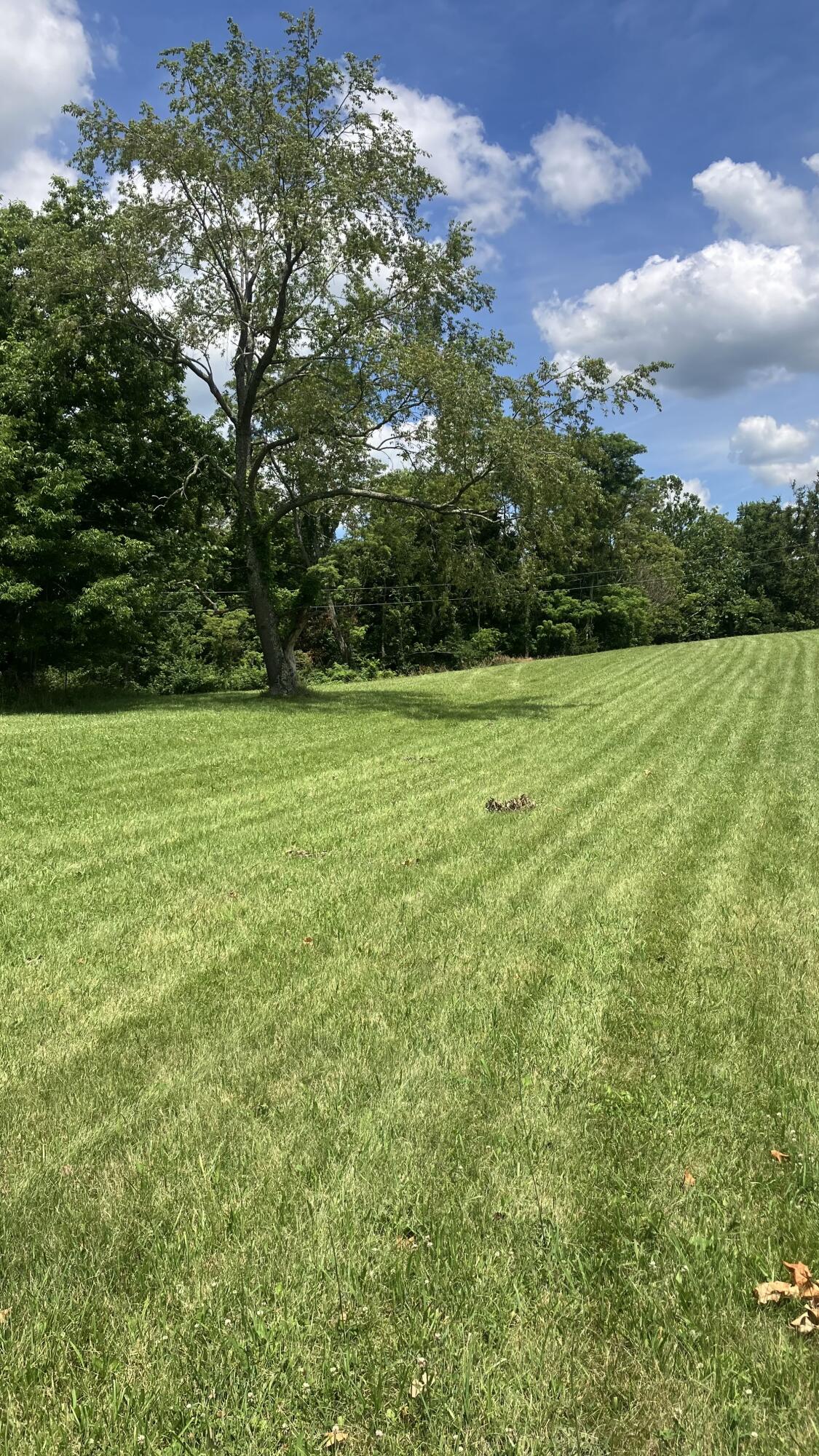 201 Hilltop Road Property Photo 23