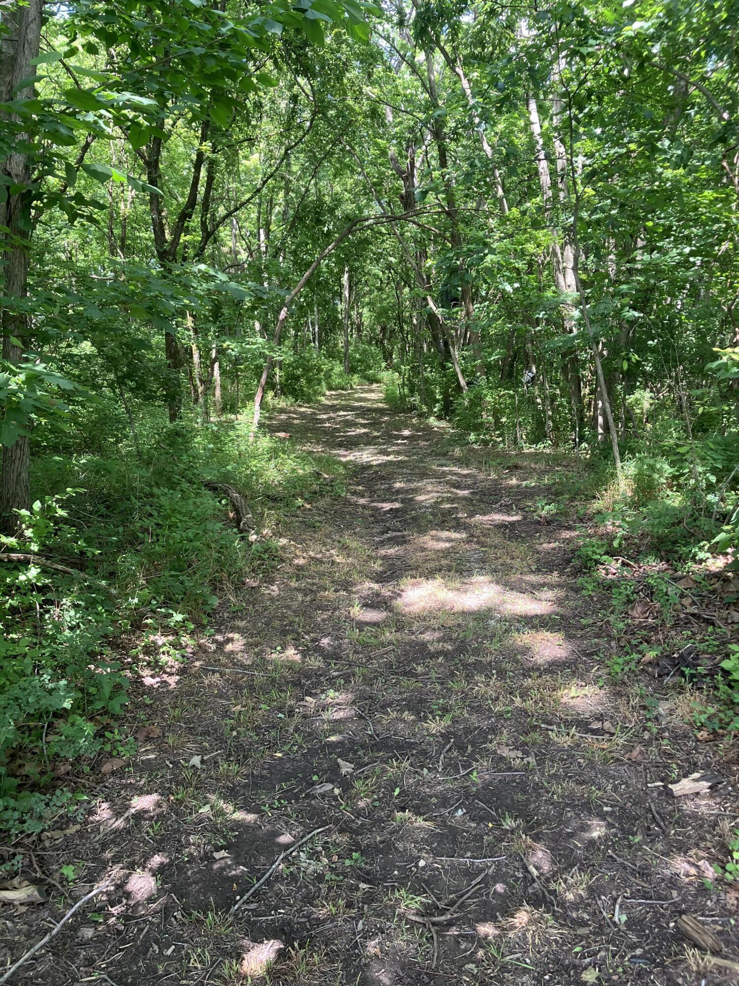 201 Hilltop Road Property Photo 28