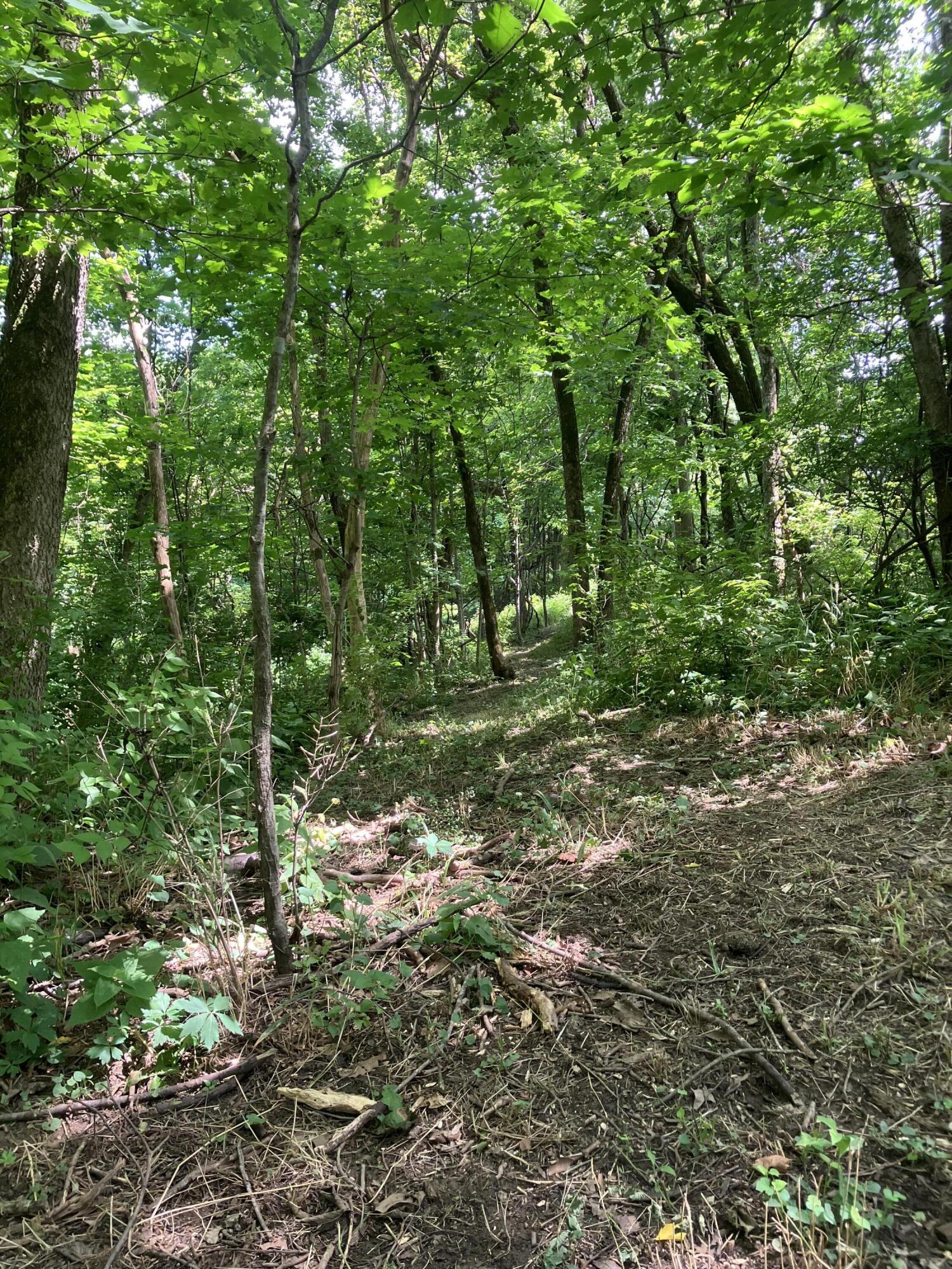 201 Hilltop Road Property Photo 29