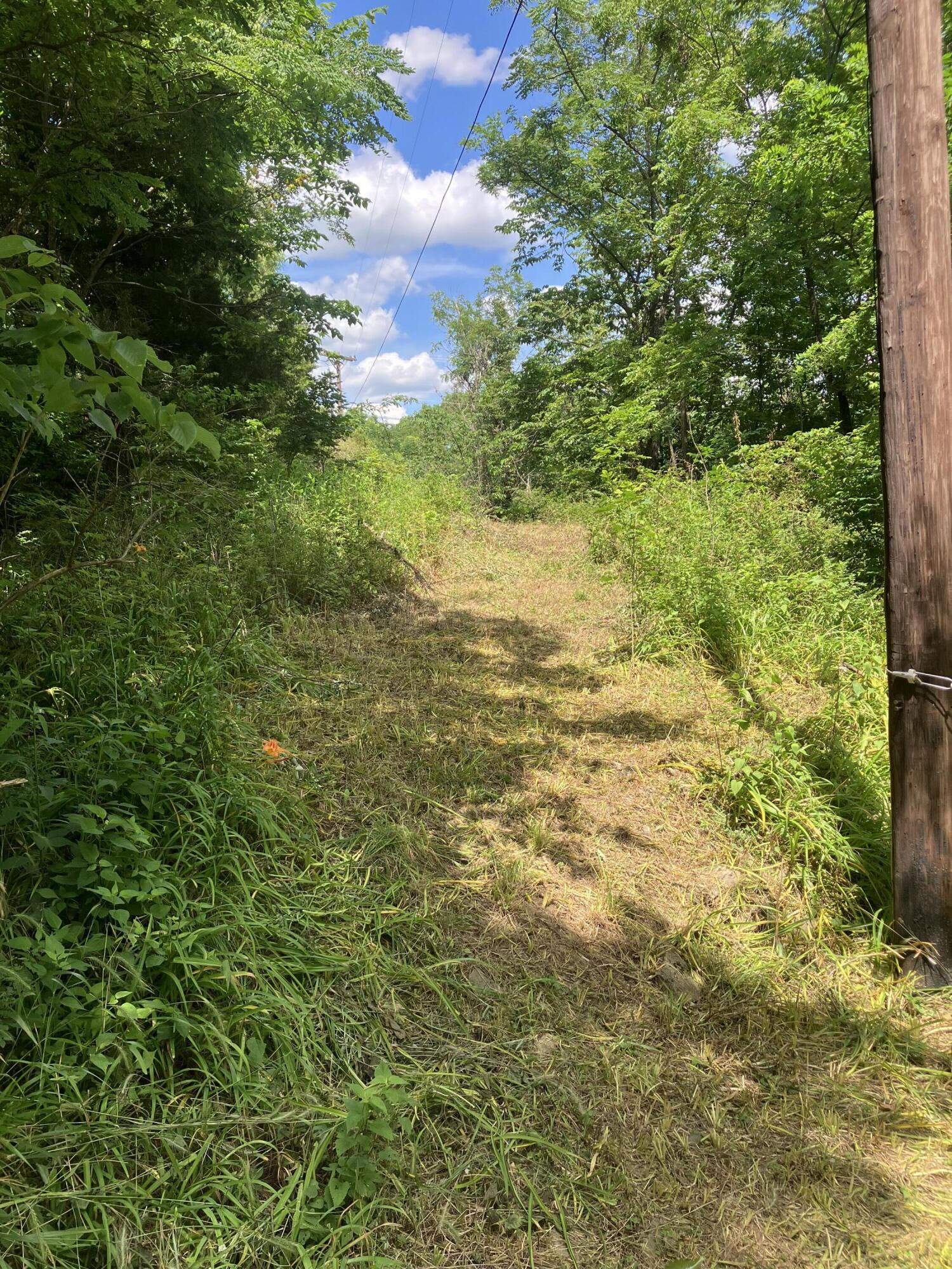 201 Hilltop Road Property Photo 31