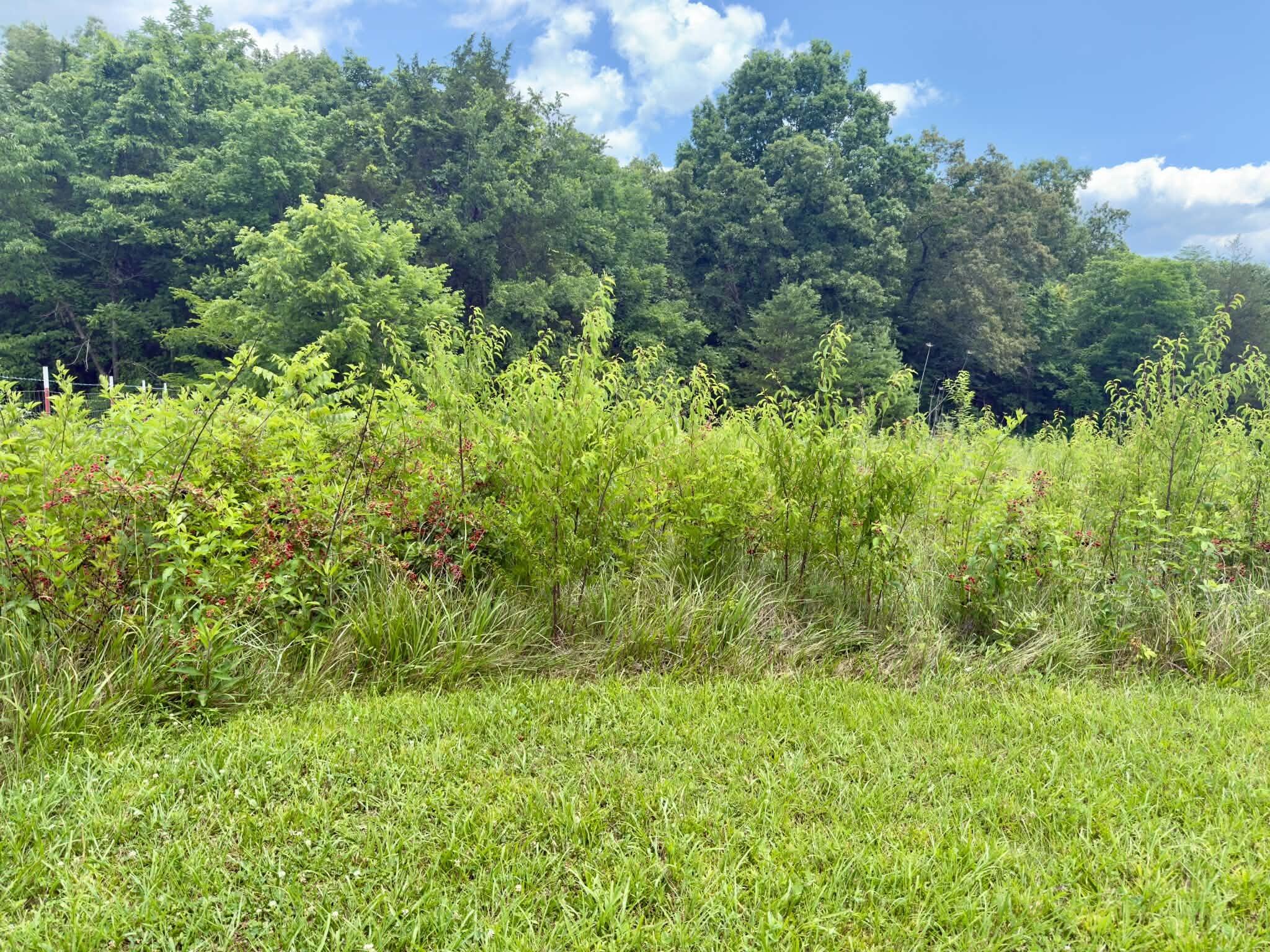 10113 Kentucky 92 Property Photo 29