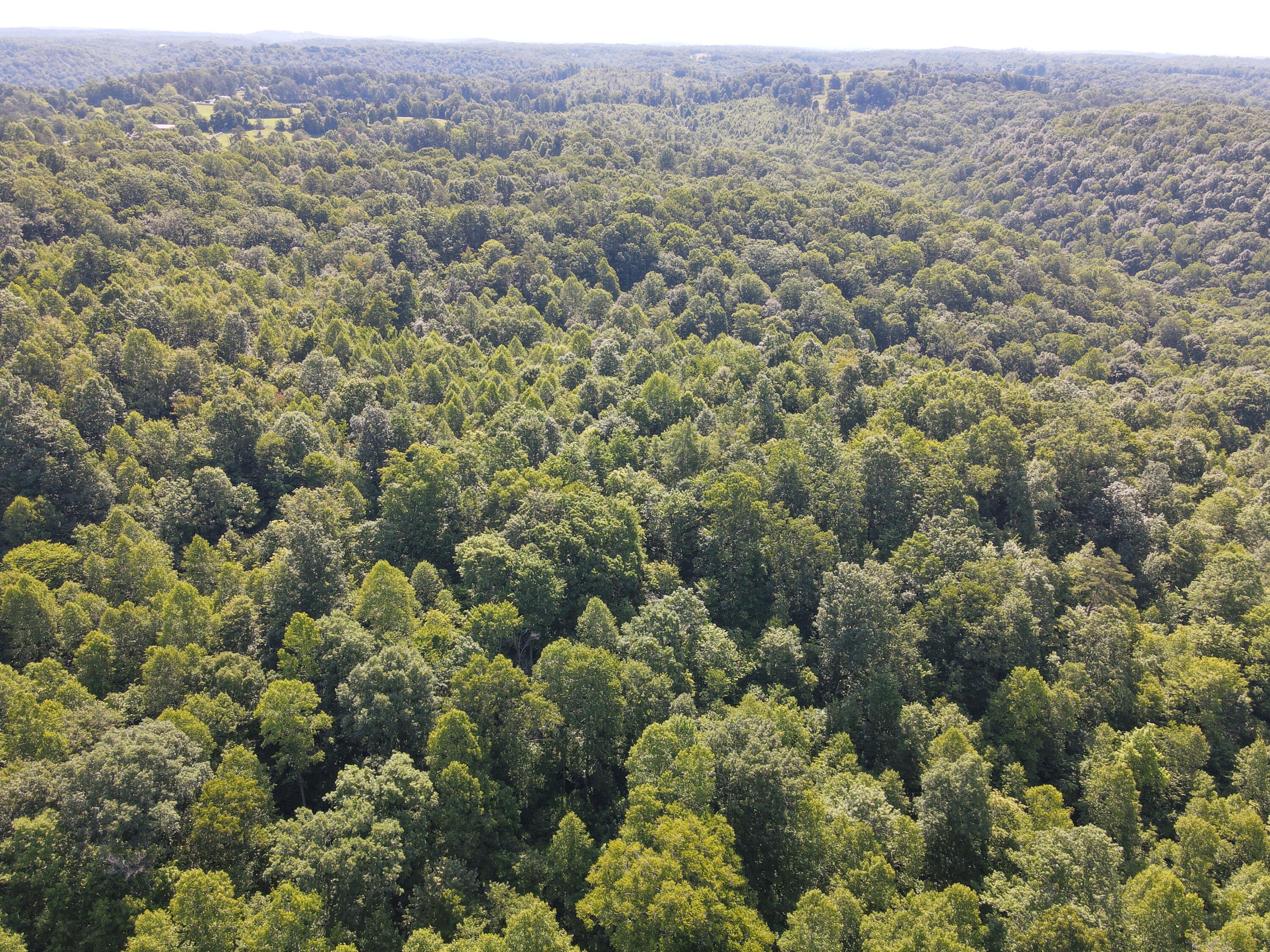 1407 Denton Phelps Road Property Photo 5