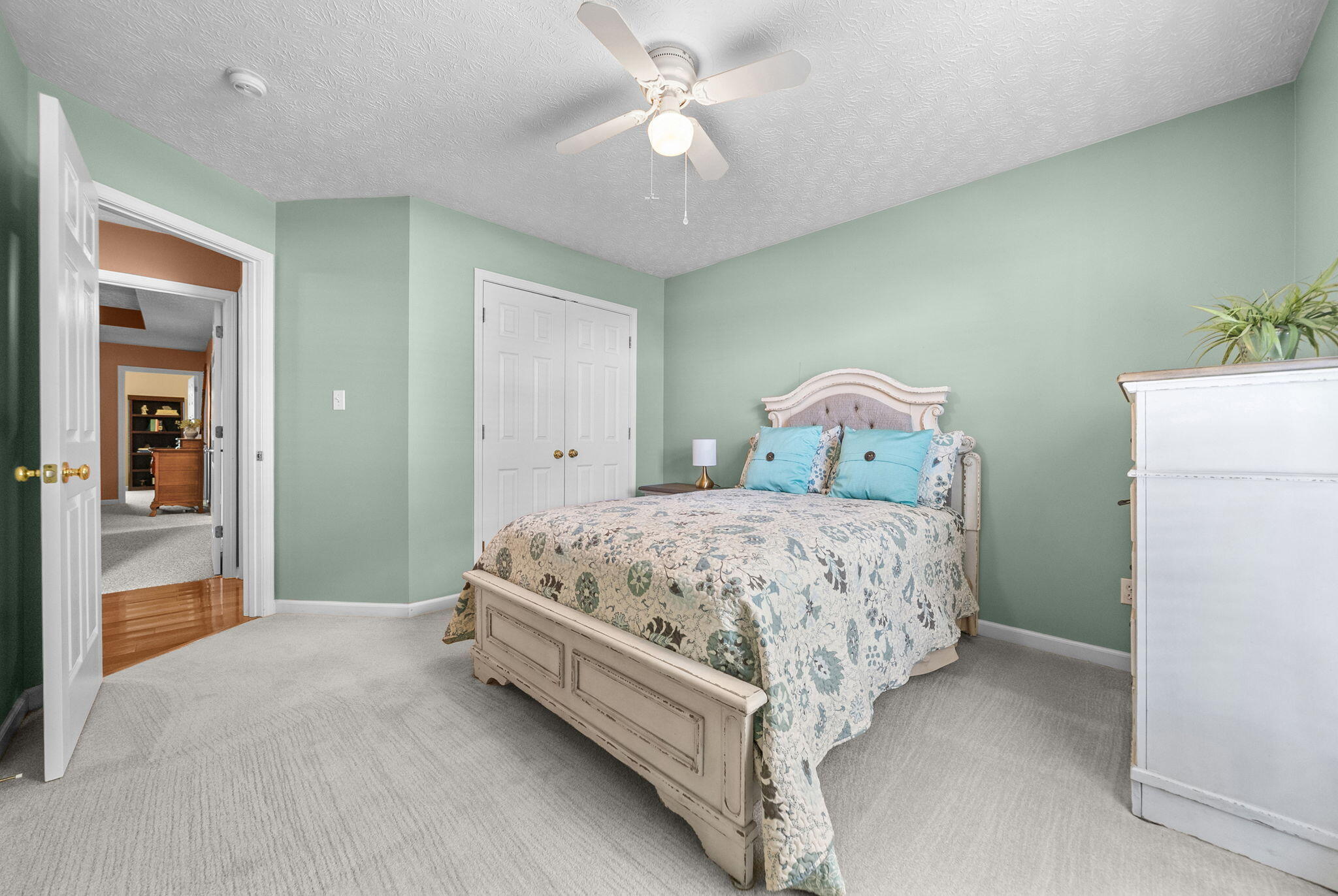 401 Irish Circle Property Photo 29