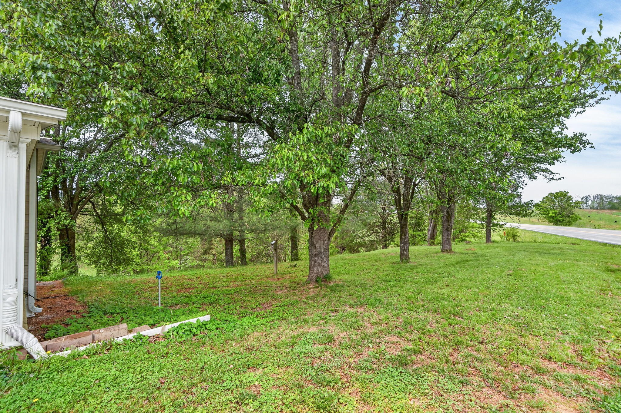 475 State Park Road Property Photo 3