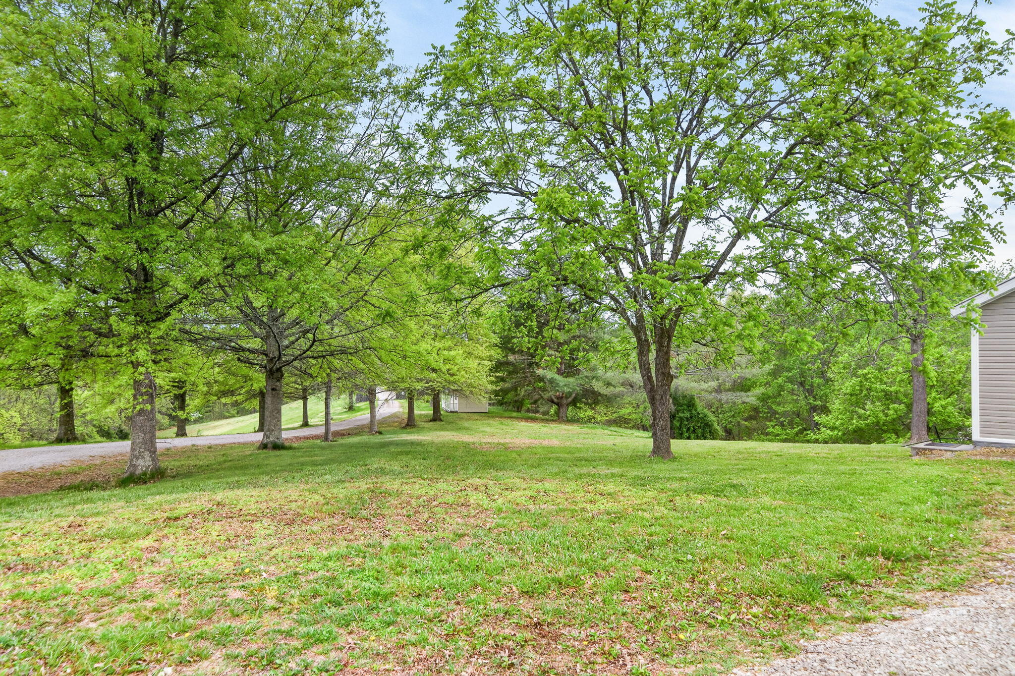 475 State Park Road Property Photo 6