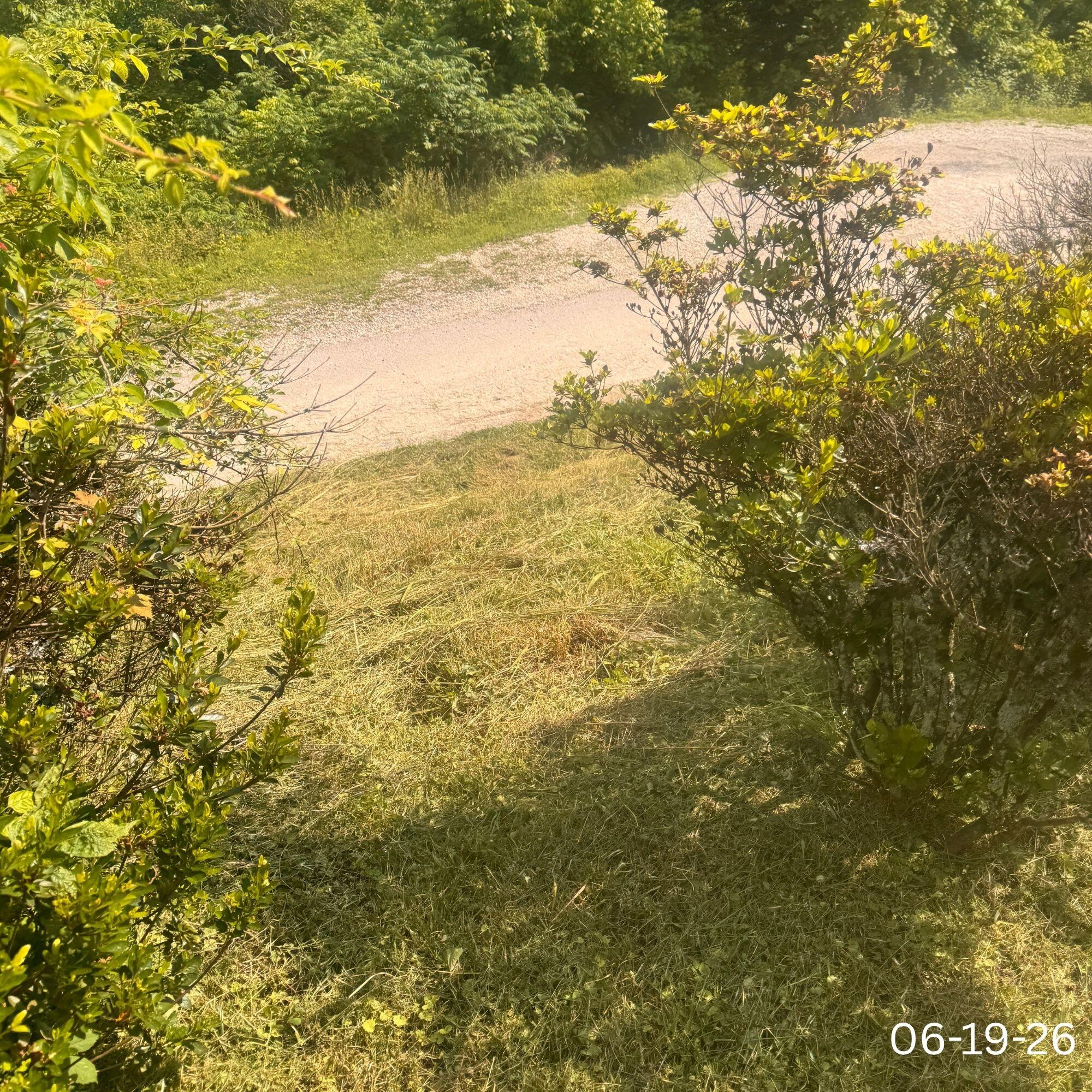 450 Bowen Lane Property Photo 11