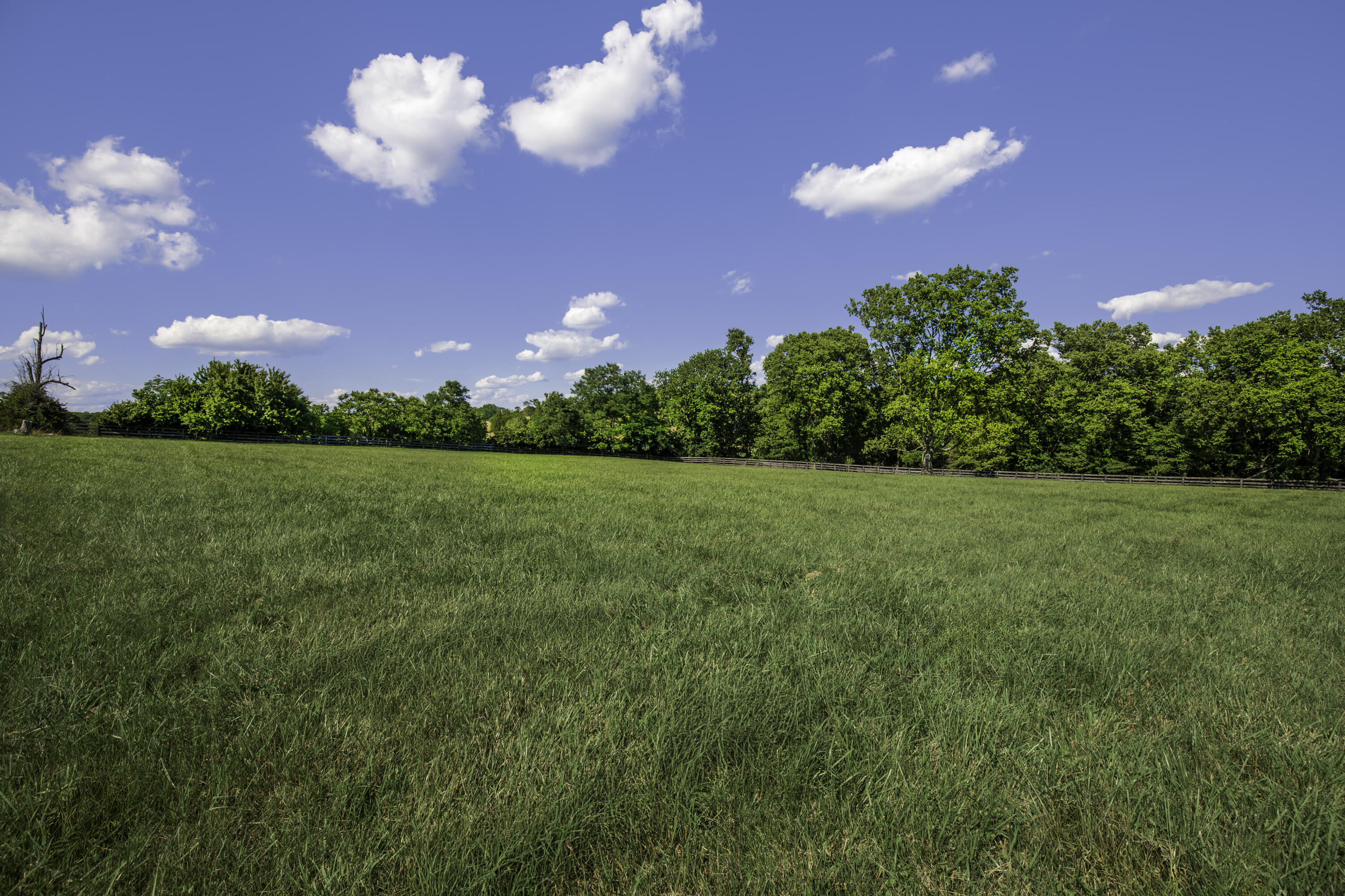 650 Delaney Ferry Road Property Photo 36