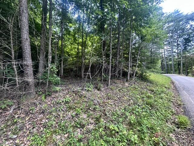 1 Godsey Avenue Property Photo 6