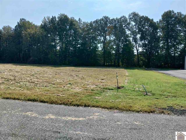 4470 Lance Walton Road Property Photo 1