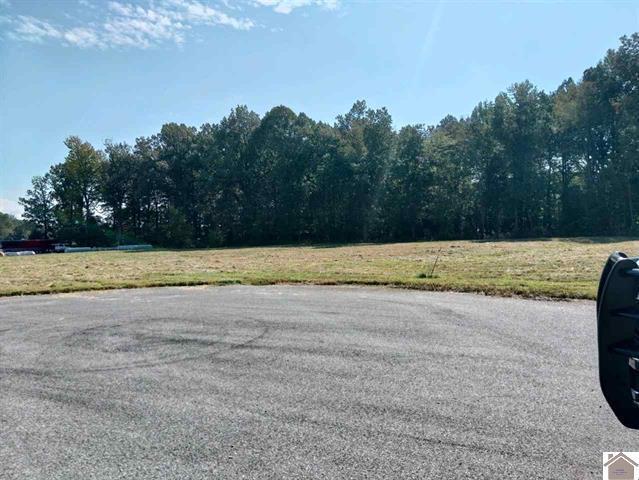 4460 Lance Walton Road Property Photo 1