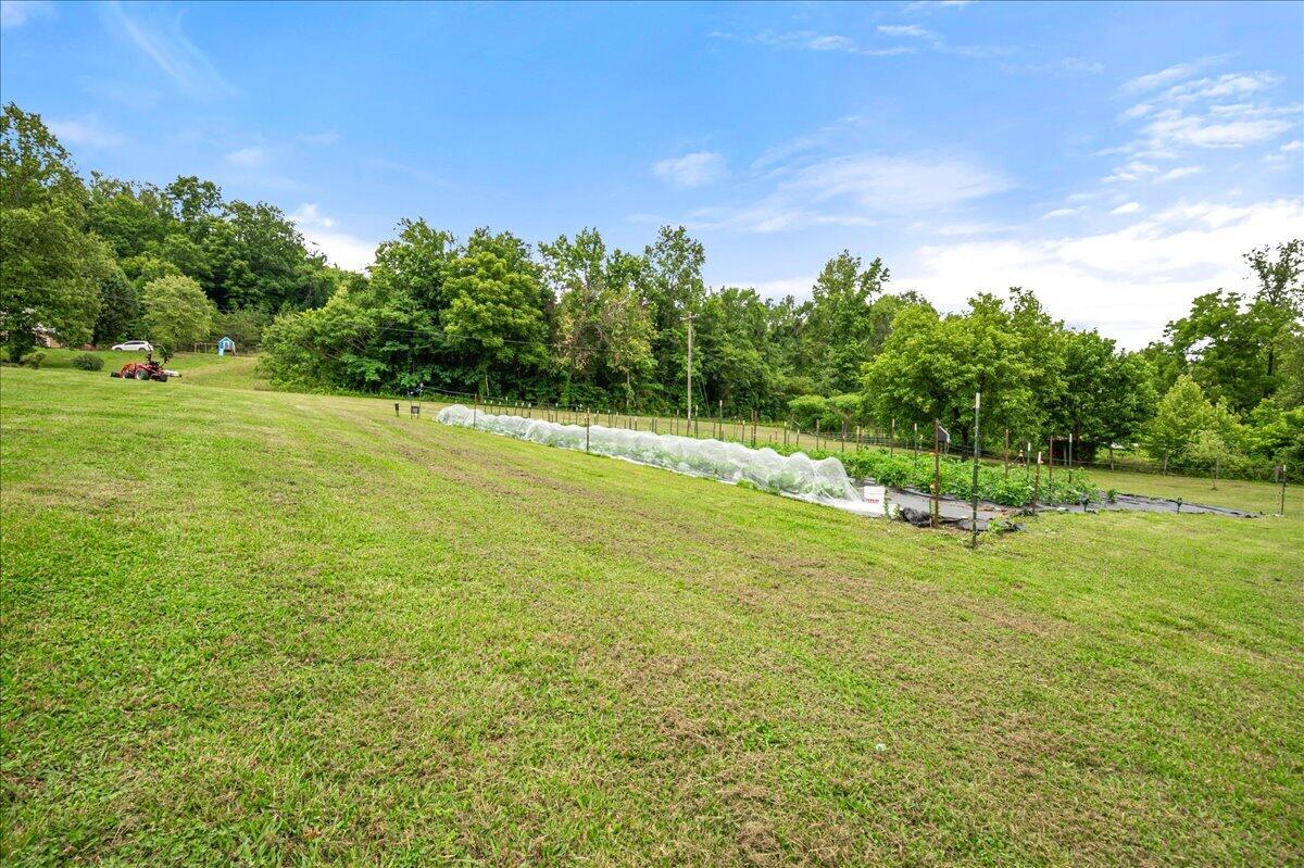 6985 Old Mountain Ash Pike Property Photo 65