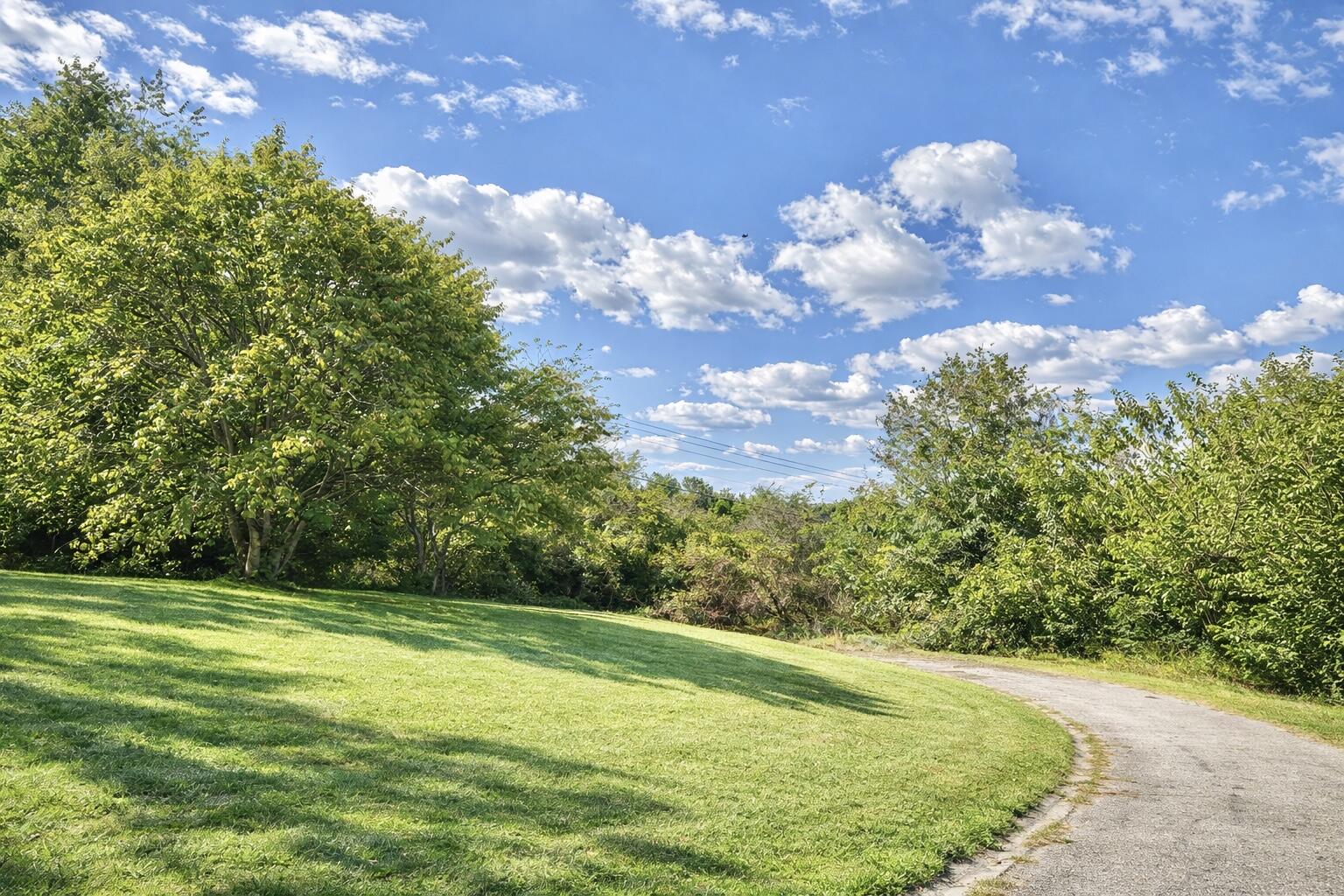 247 Juniper Court Property Photo 1
