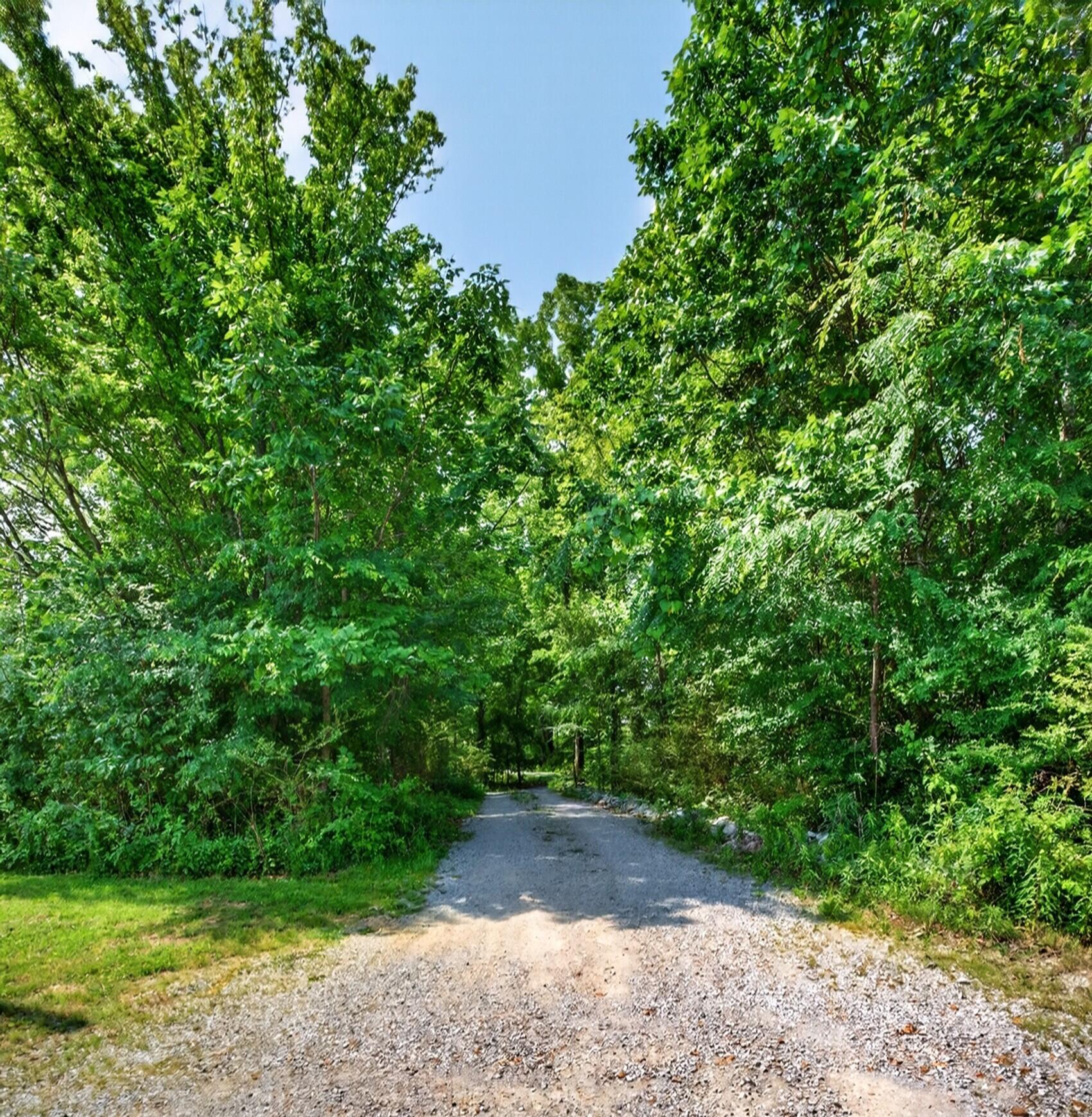 267 Woodland Drive Property Photo 55