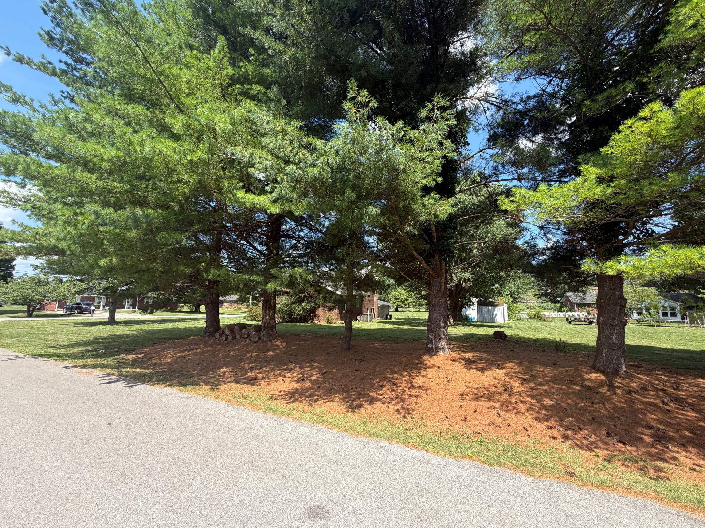 111 Guinn Drive Property Photo 17