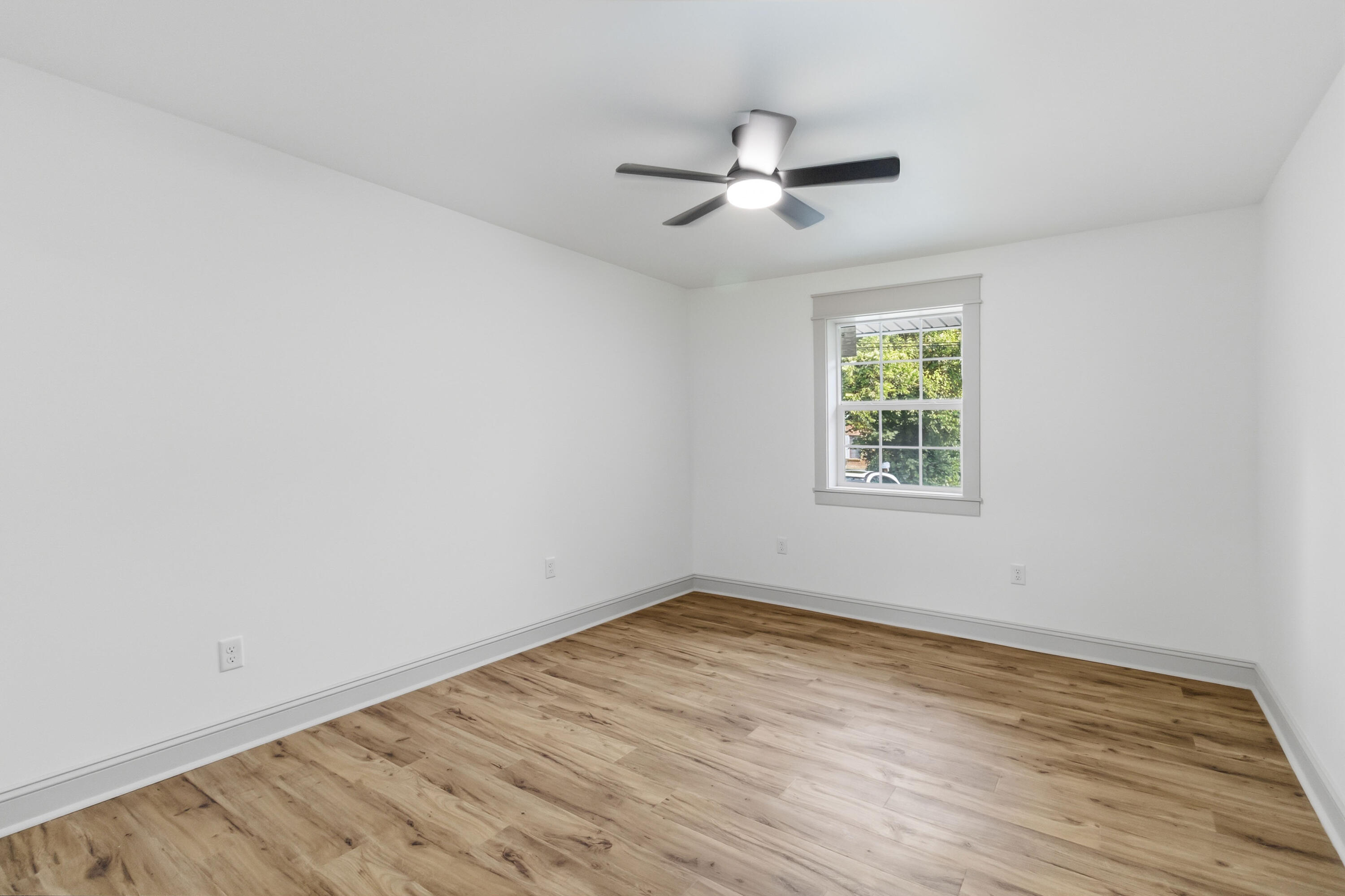 109 Elm Street Property Photo 17