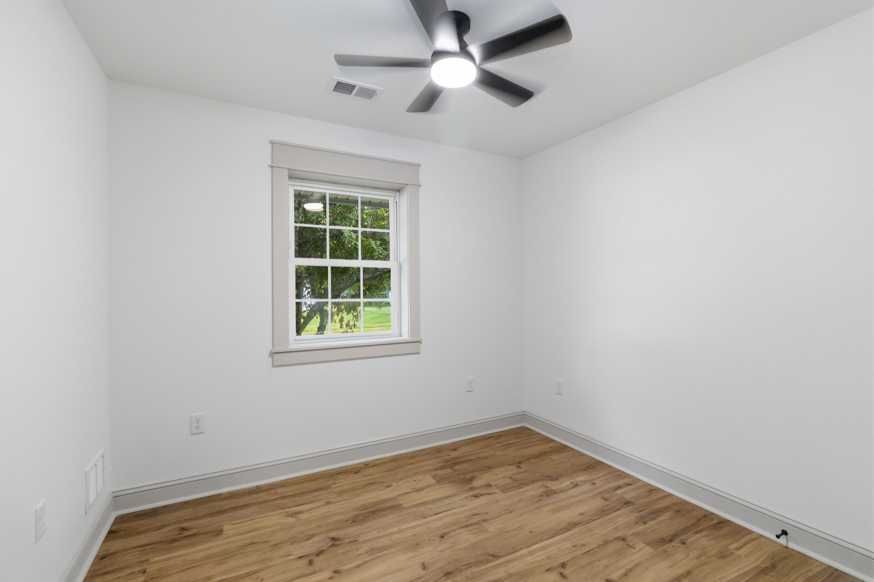 109 Elm Street Property Photo 20