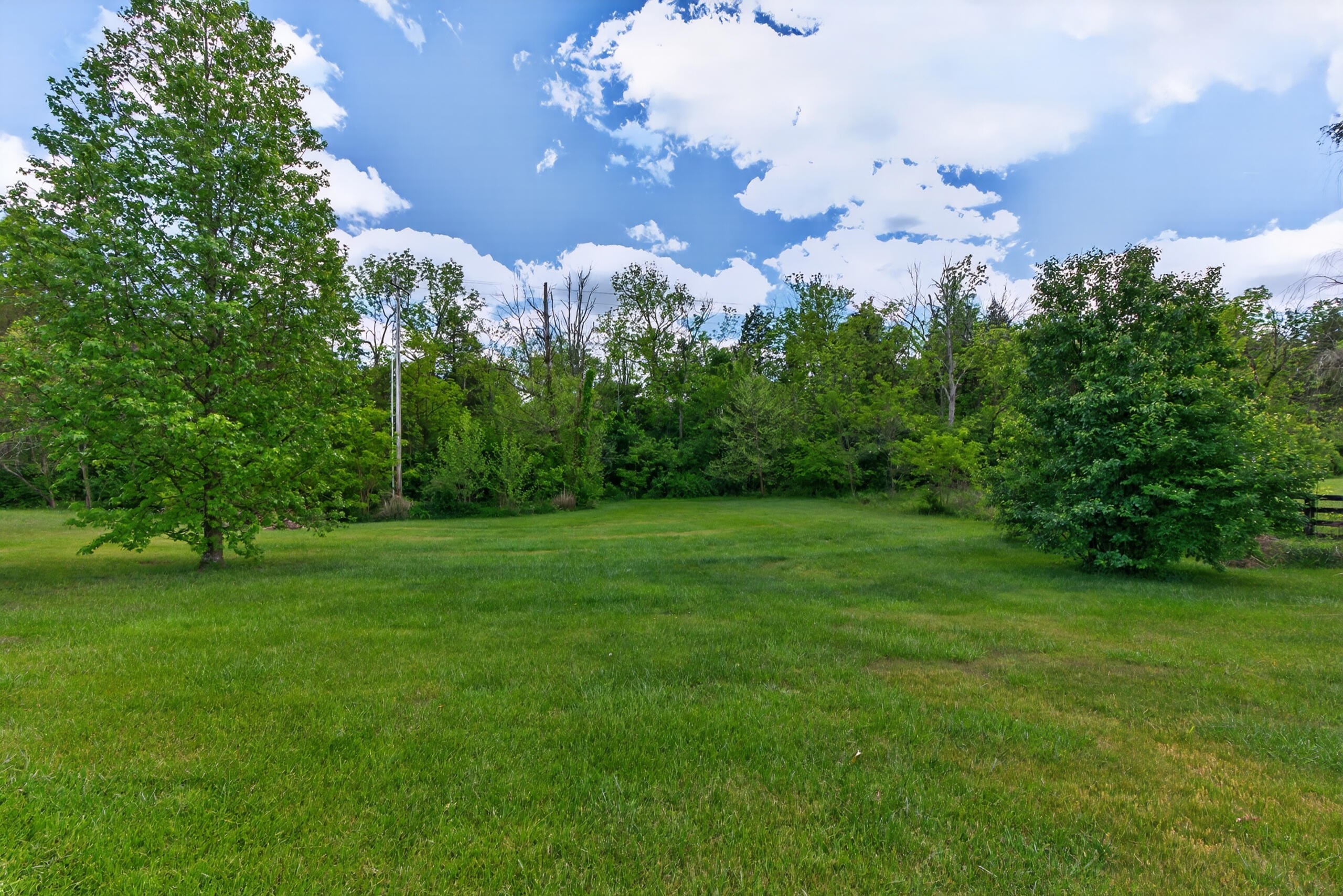 132 Braemar Drive Property Photo 46