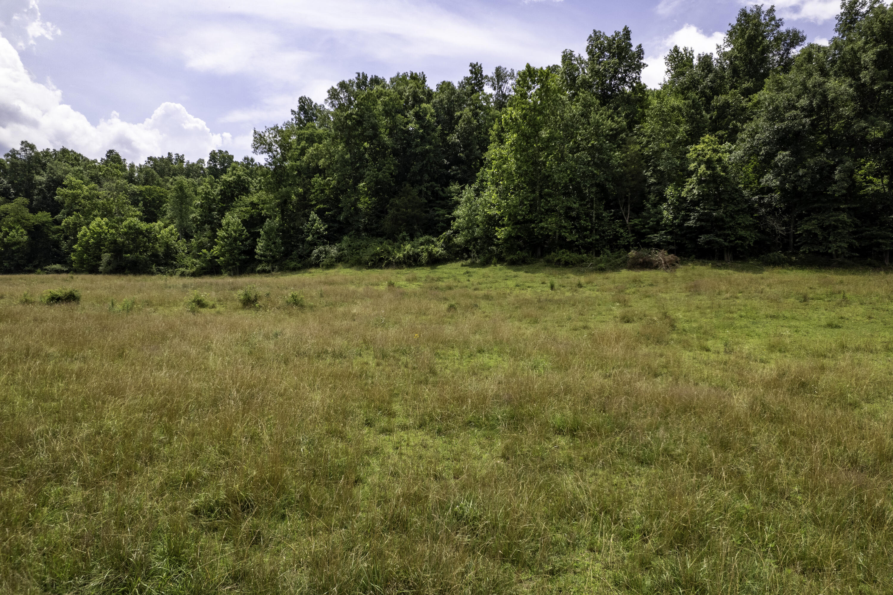 2000 2000 Gosser Ridge Rd Road Property Photo 23