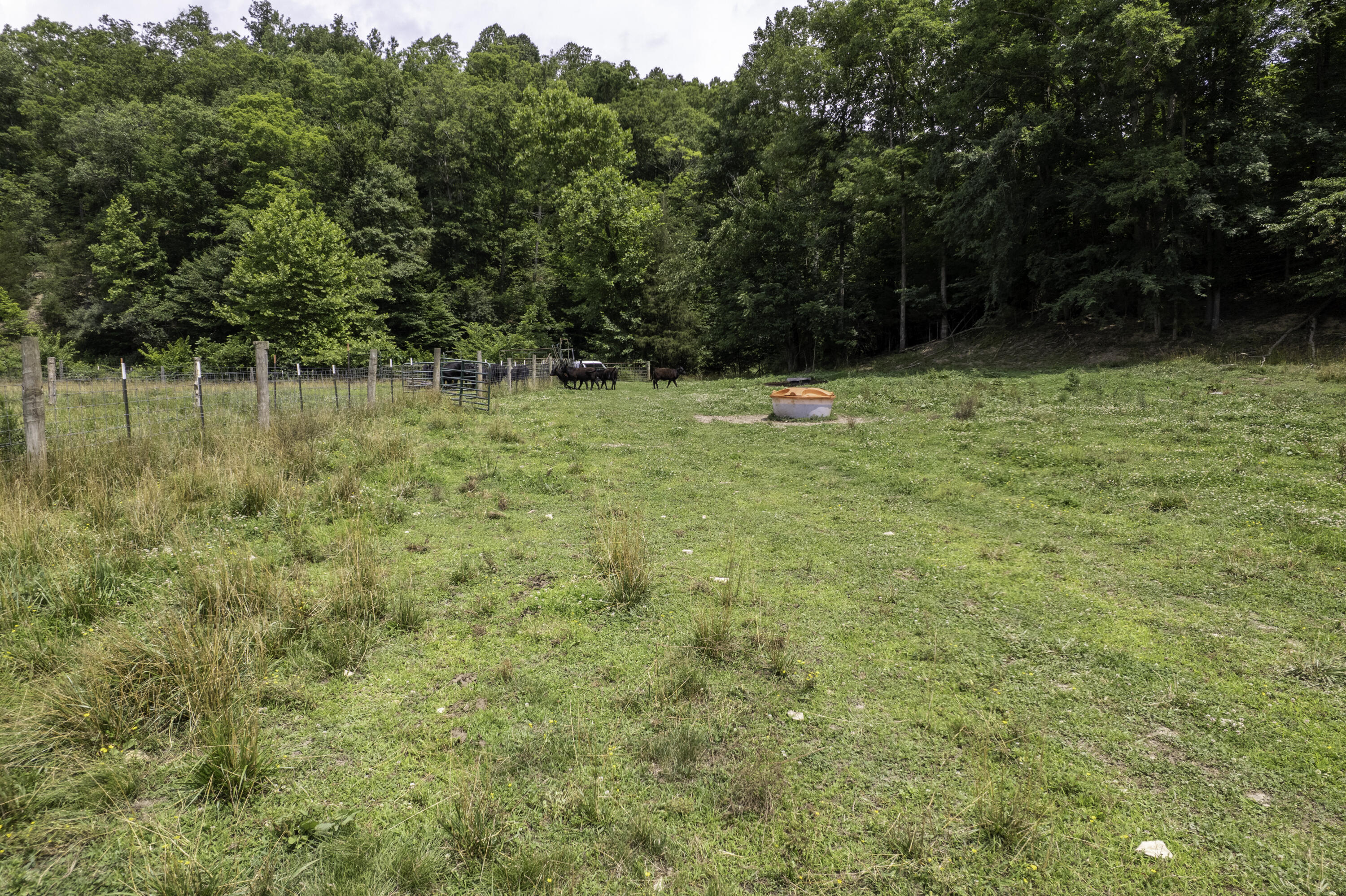2000 2000 Gosser Ridge Rd Road Property Photo 32