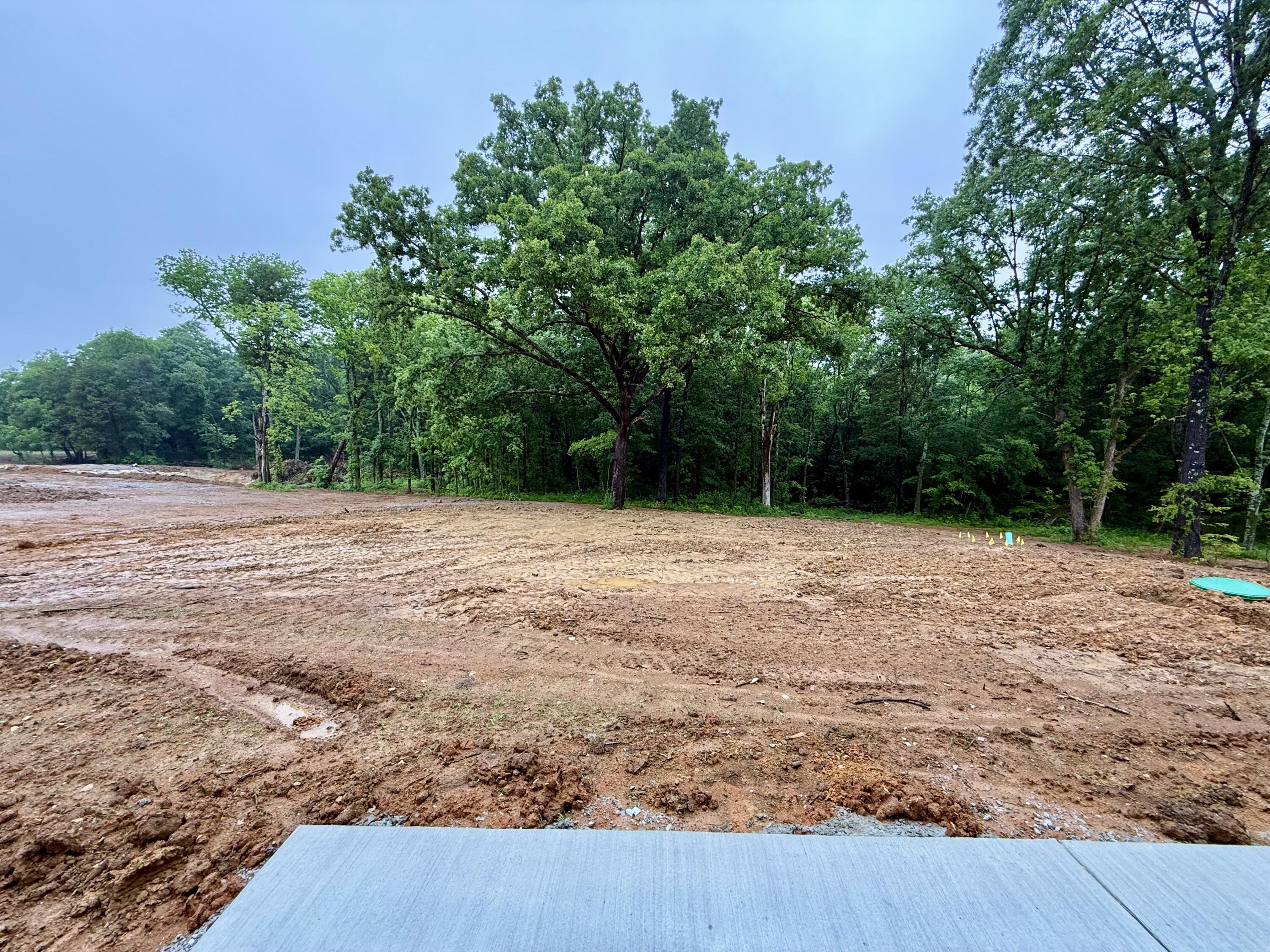 5572 Antioch Rd Road Property Photo 6