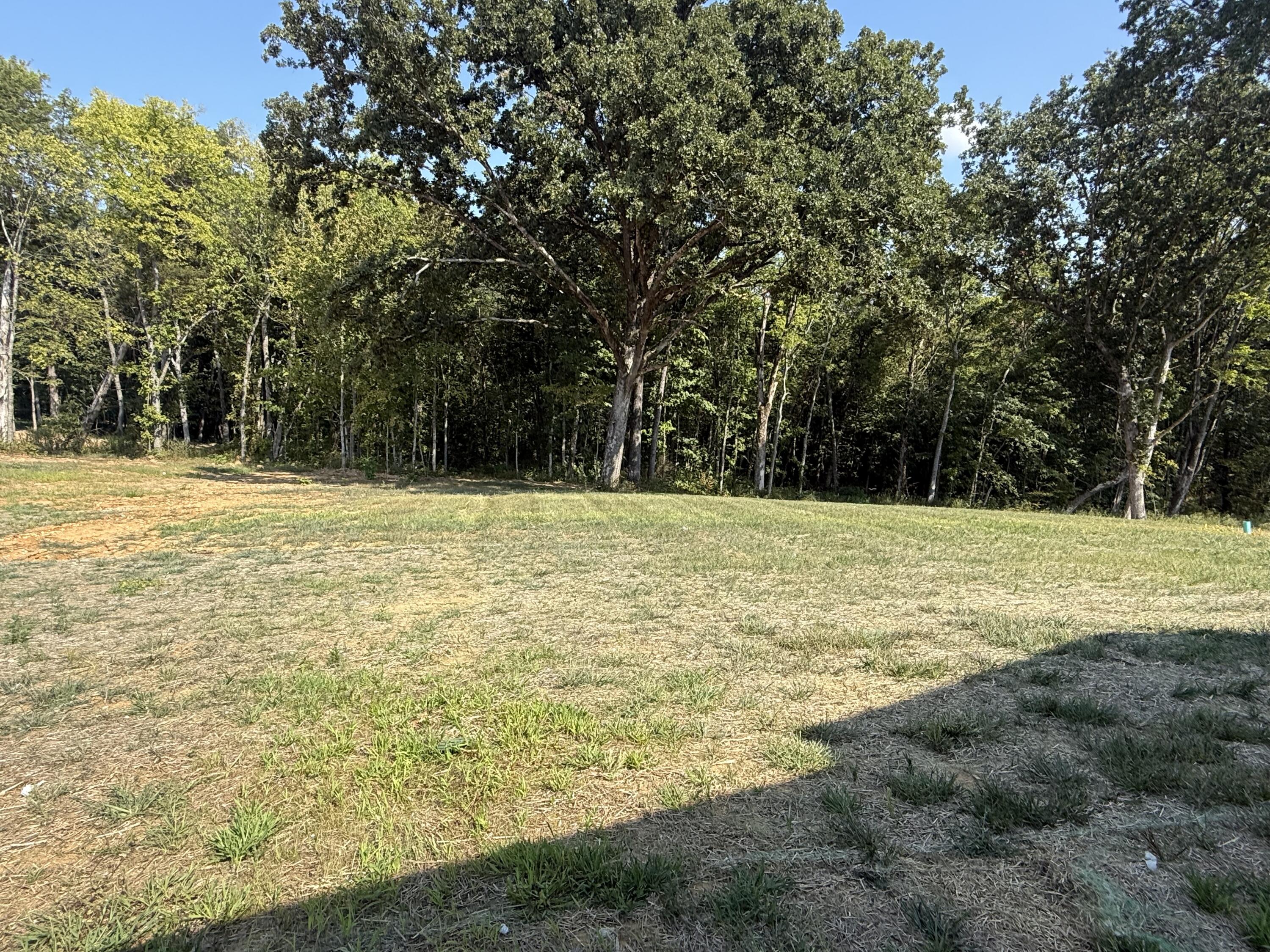 5572 Antioch Road Property Photo 34