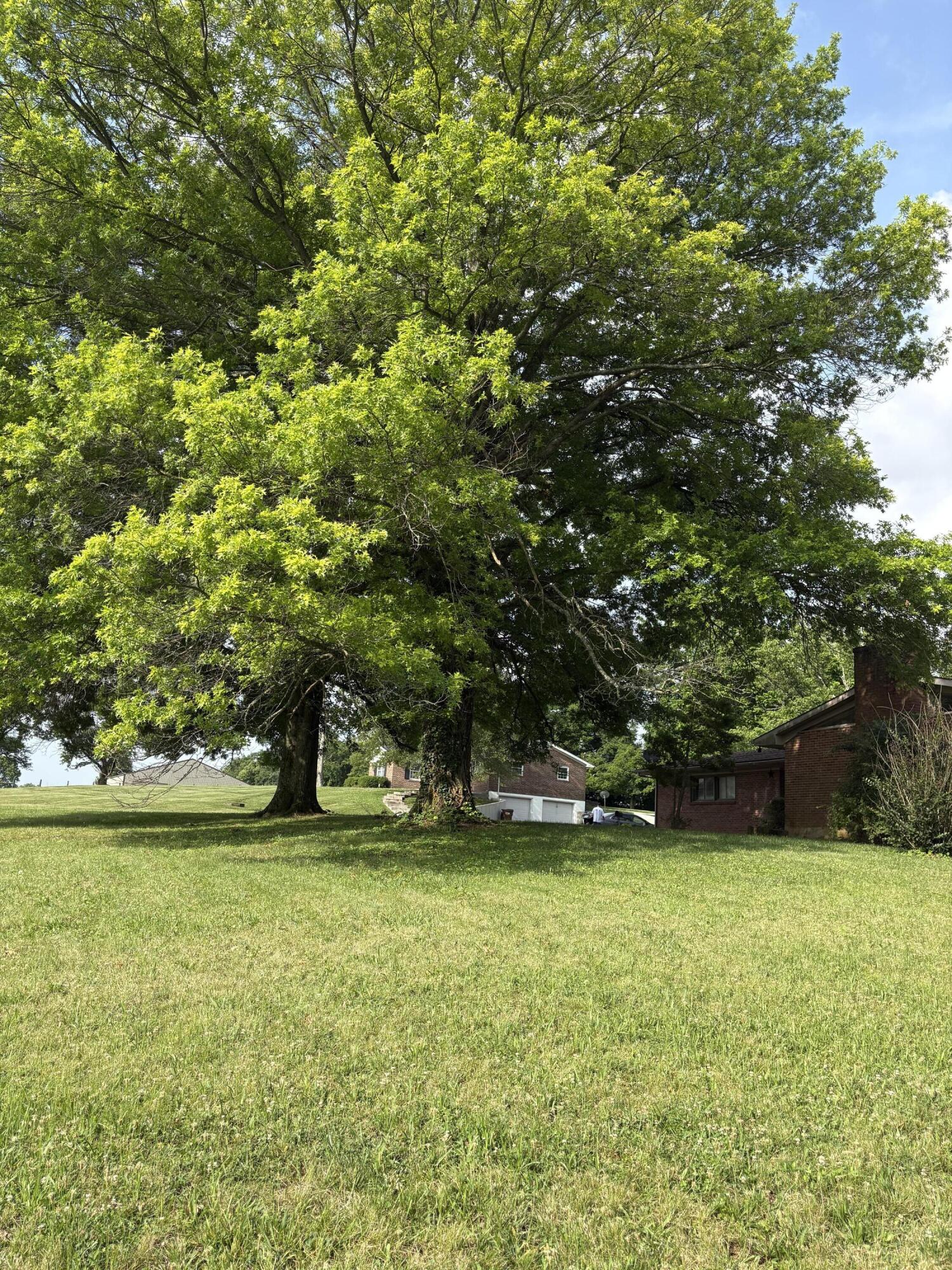 3489 Us-62 Property Photo 15