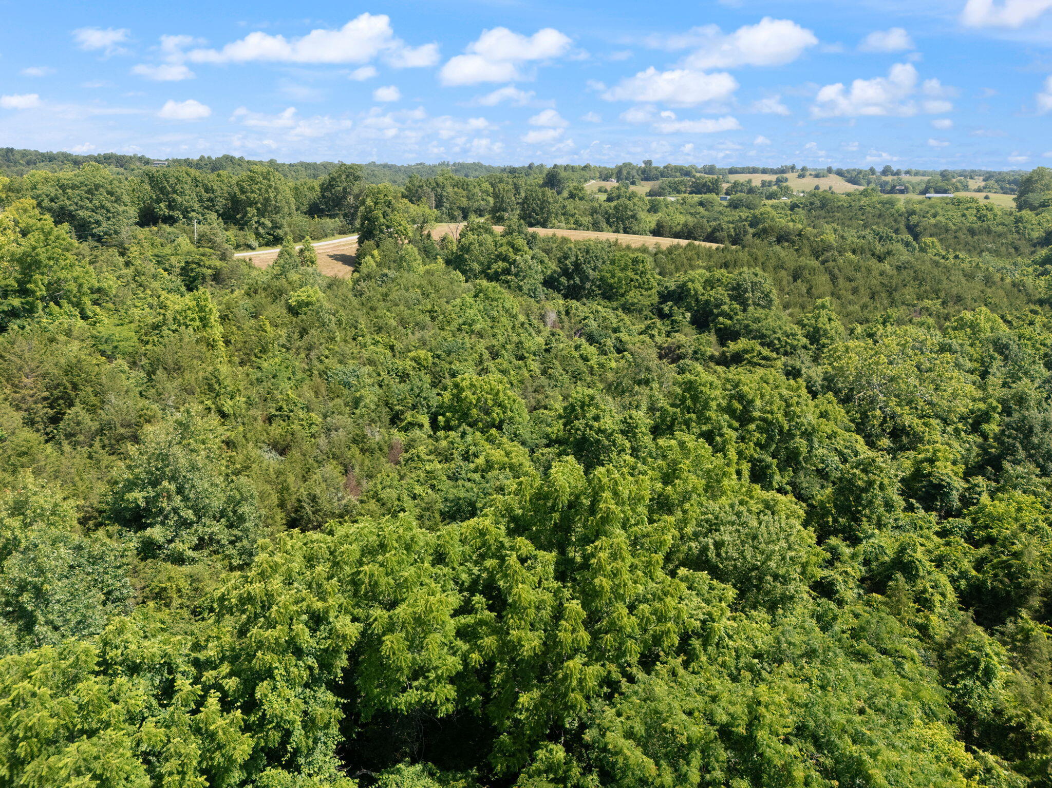 9999 Mann Road Property Photo 24