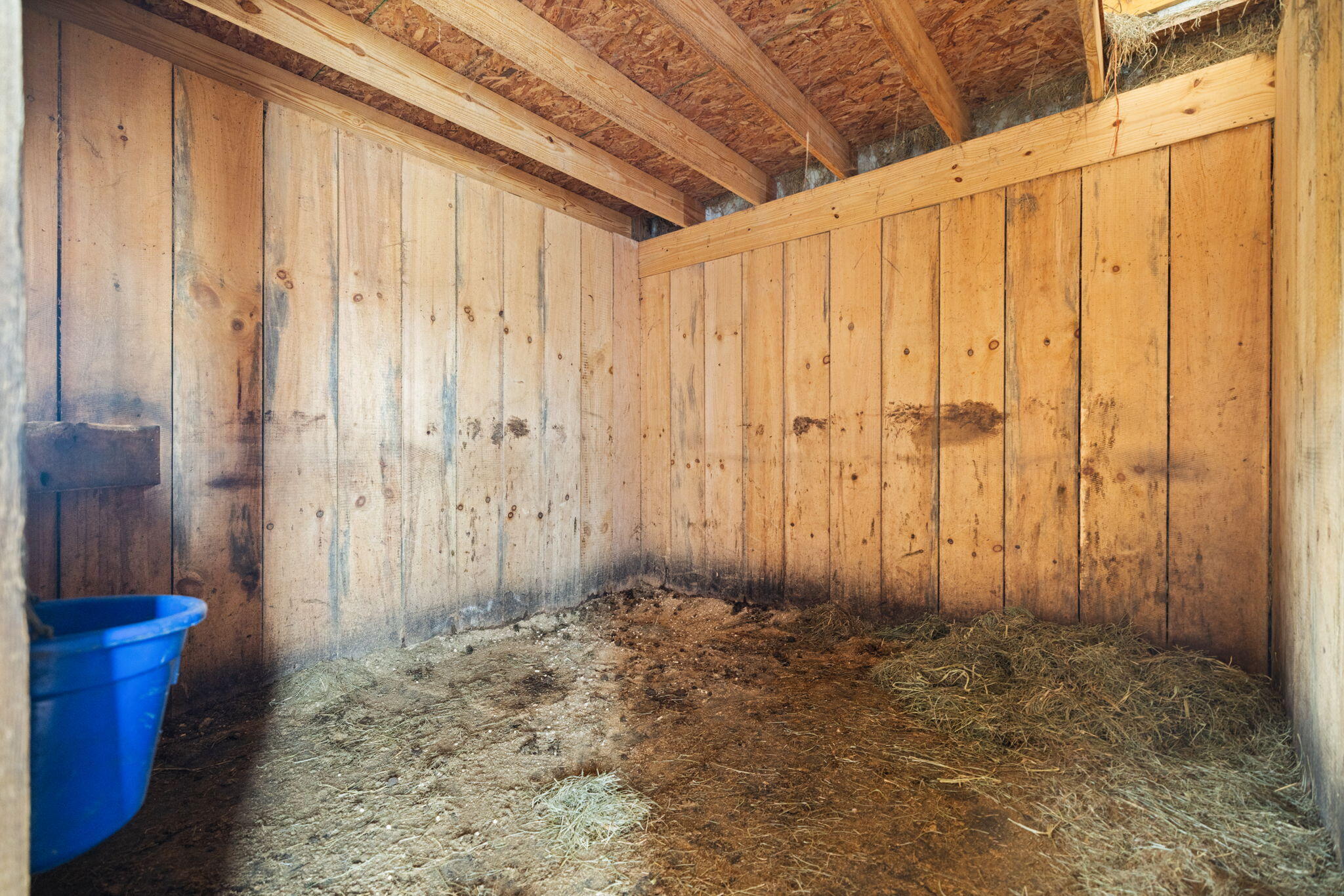 121 Isle Mill Road Property Photo 4
