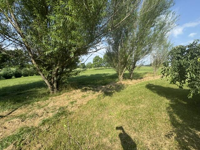 1330 Robinson Road Property Photo 37