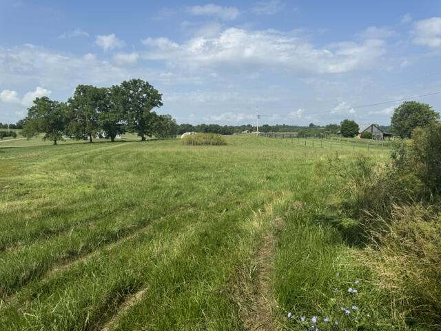 1330 Robinson Road Property Photo 61