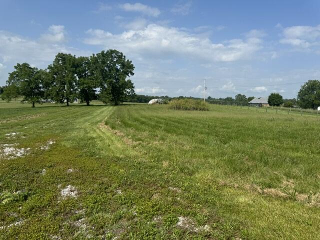 1330 Robinson Road Property Photo 63