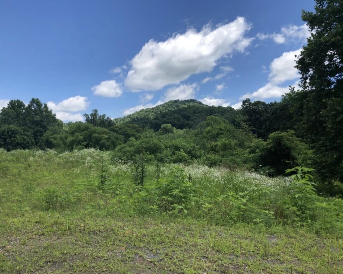 2251 S Highway 421 Property Photo 3