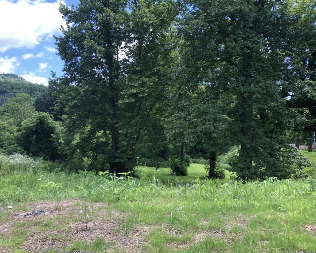 2251 S Highway 421 Property Photo 4