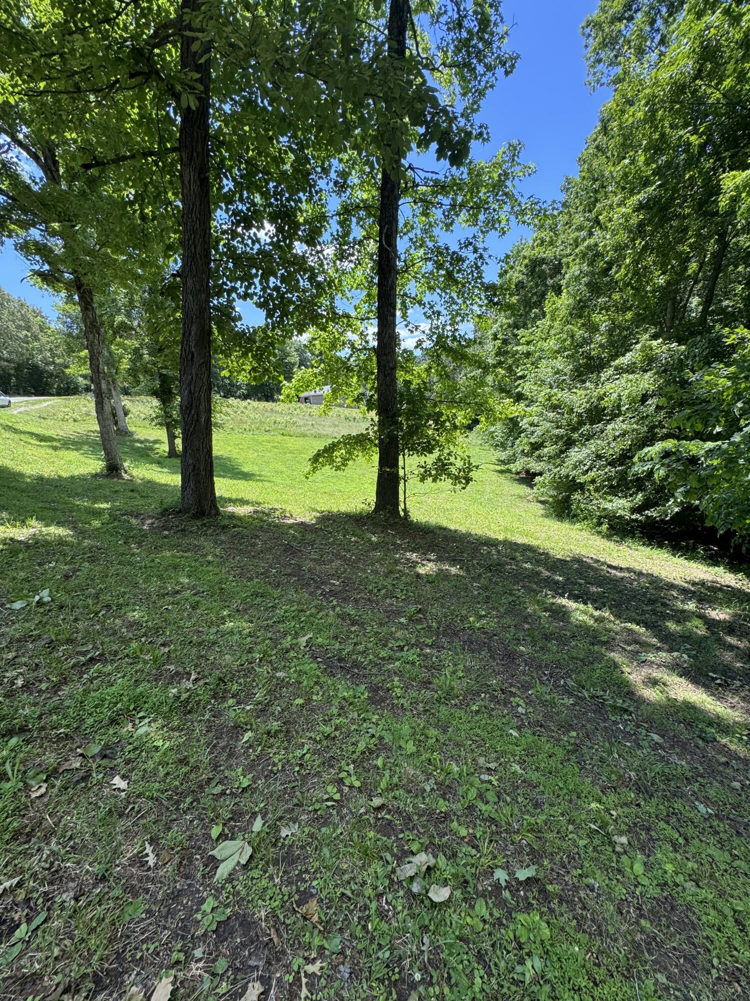 Lot #35 E Cobblestone Ct Property Photo 2