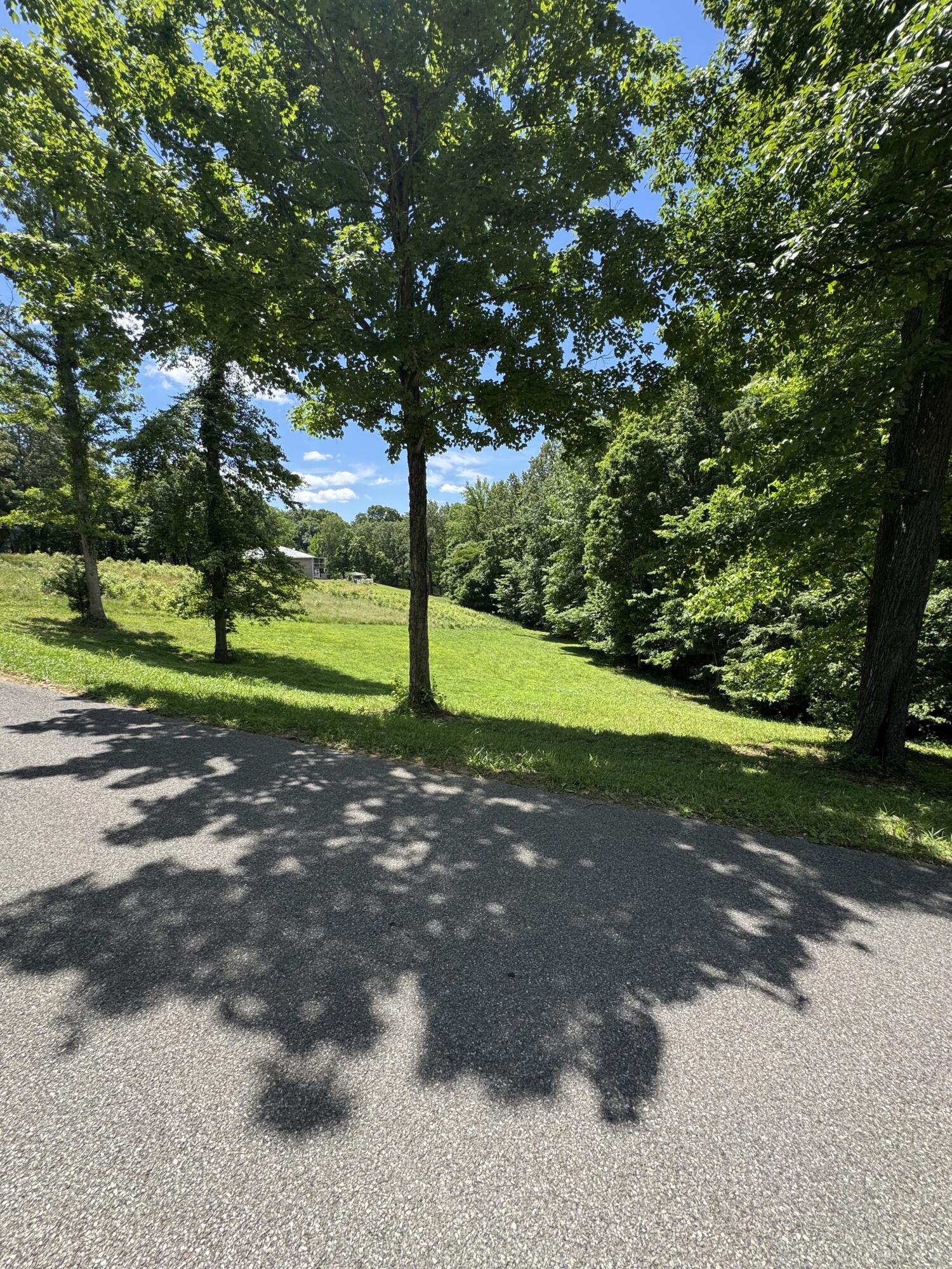 Lot #35 E Cobblestone Ct Property Photo 3