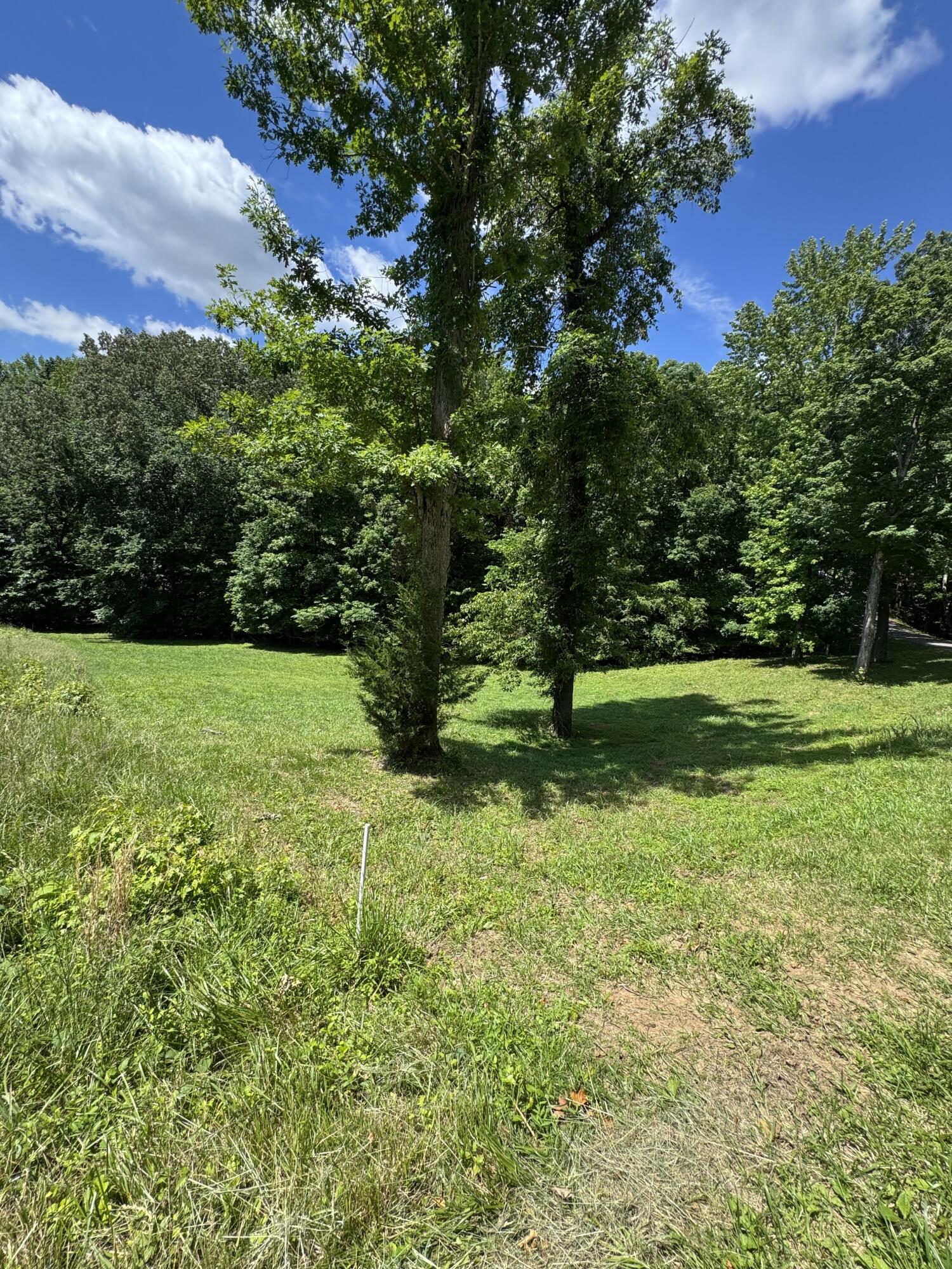 Lot #35 E Cobblestone Ct Property Photo 4