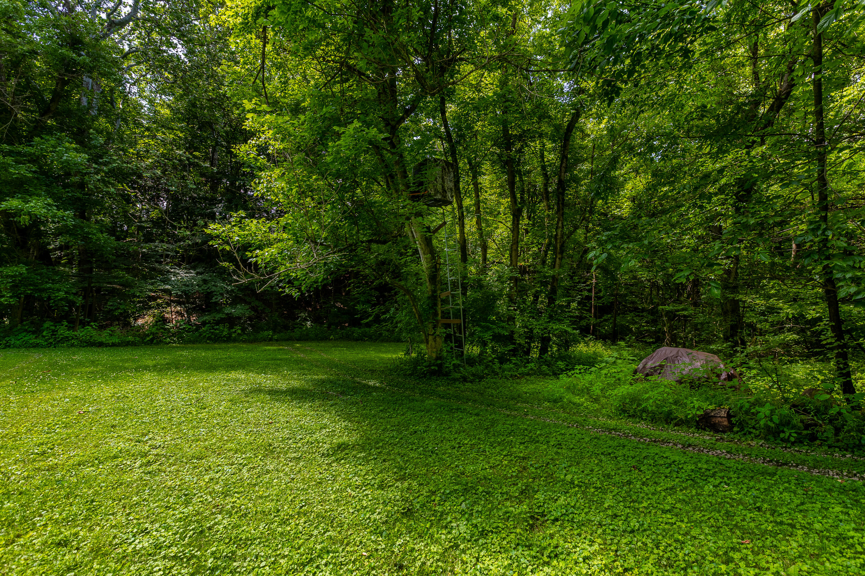 1417 North Bend Road Property Photo 38