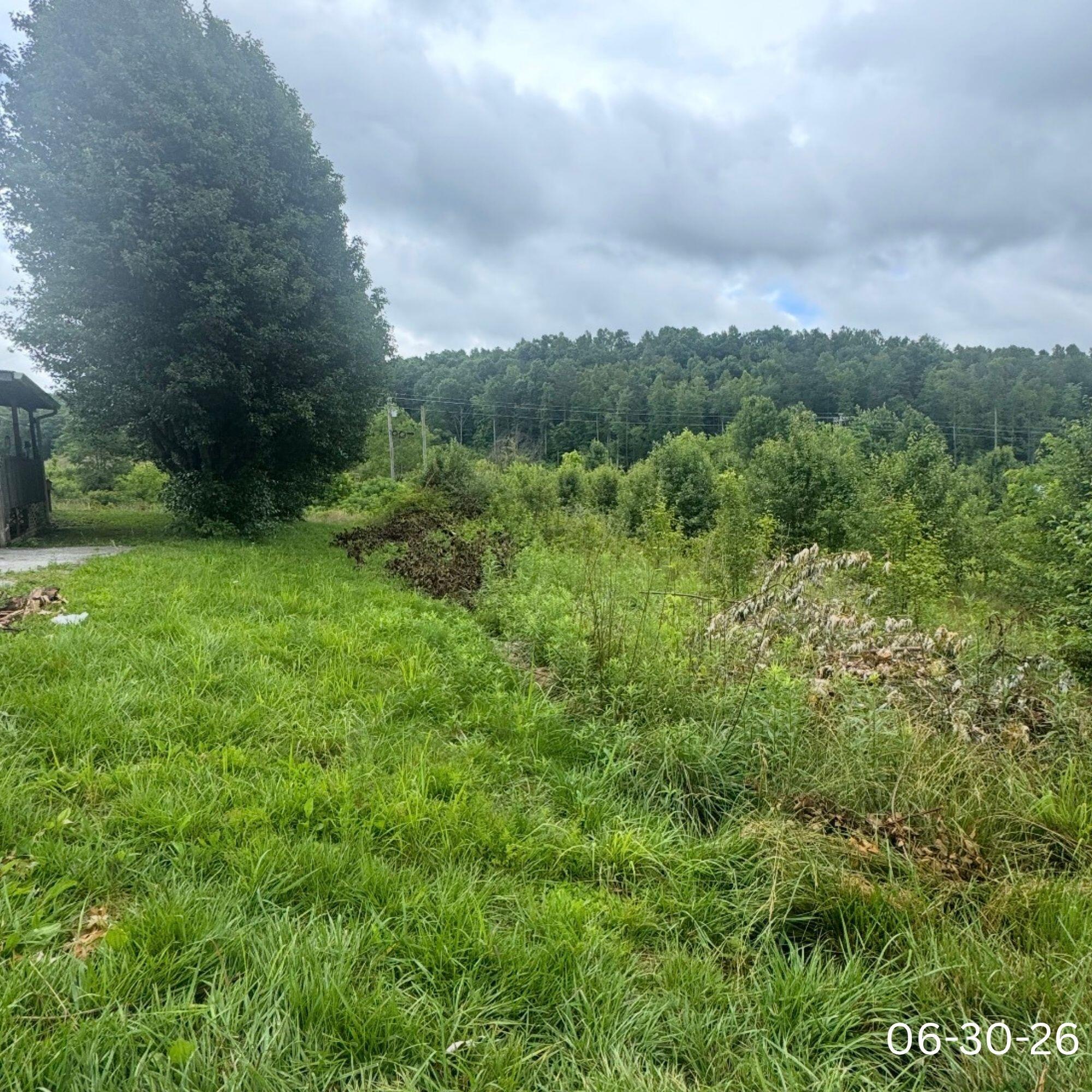270 Jackson Drive Property Photo 4